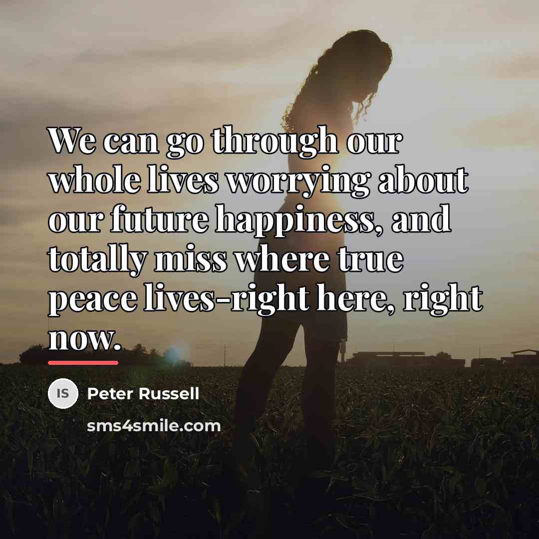 “We can go through our whole lives worrying about our…” quote by Peter Russell