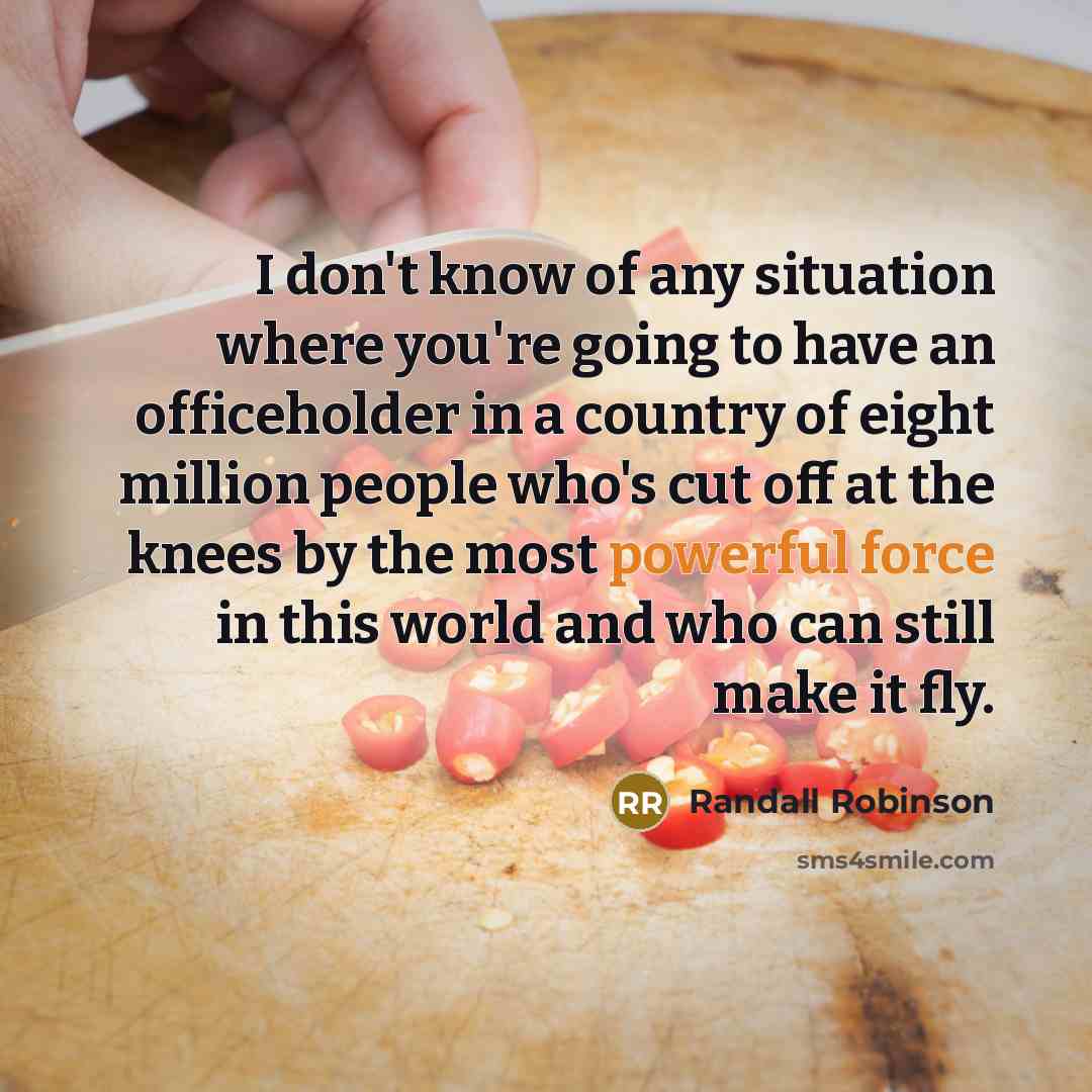 “I don't know of any situation where you're going to…” quote by Randall Robinson