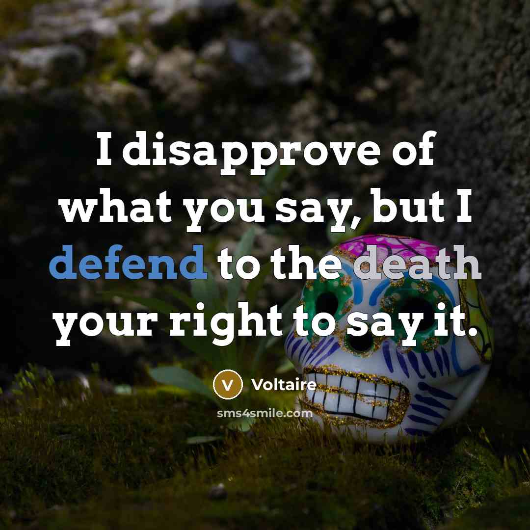 “I disapprove of what you say, but I defend to…” quote by Voltaire