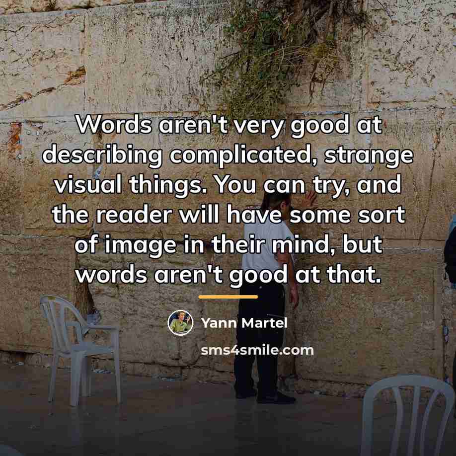 “Words aren't very good at describing complicated, strange visual things.…” quote by Yann Martel