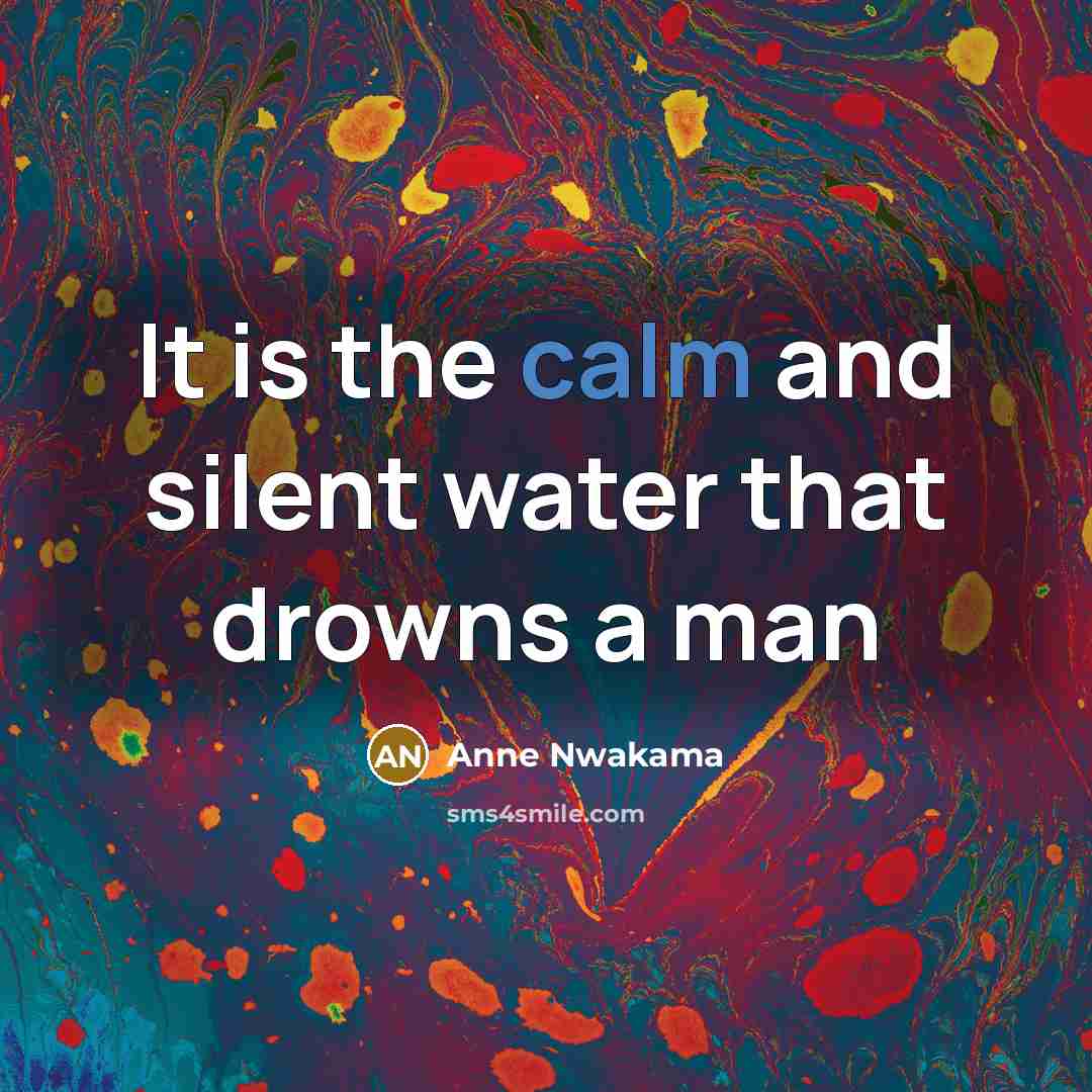 “It is the calm and silent water that drowns a…” quote by Anne Nwakama