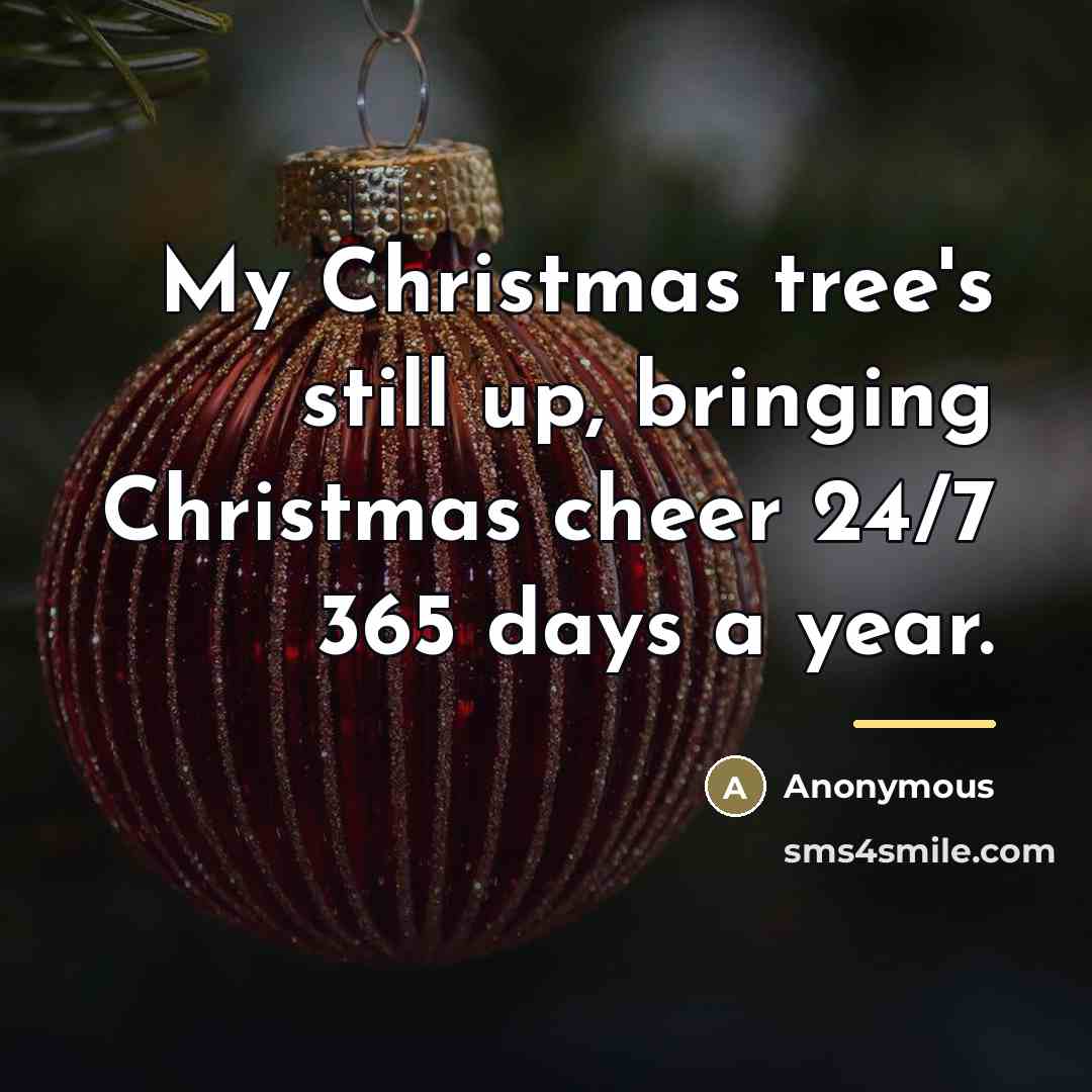 “My Christmas tree's still up, bringing Christmas cheer 24/7 365…” quote by Anonymous