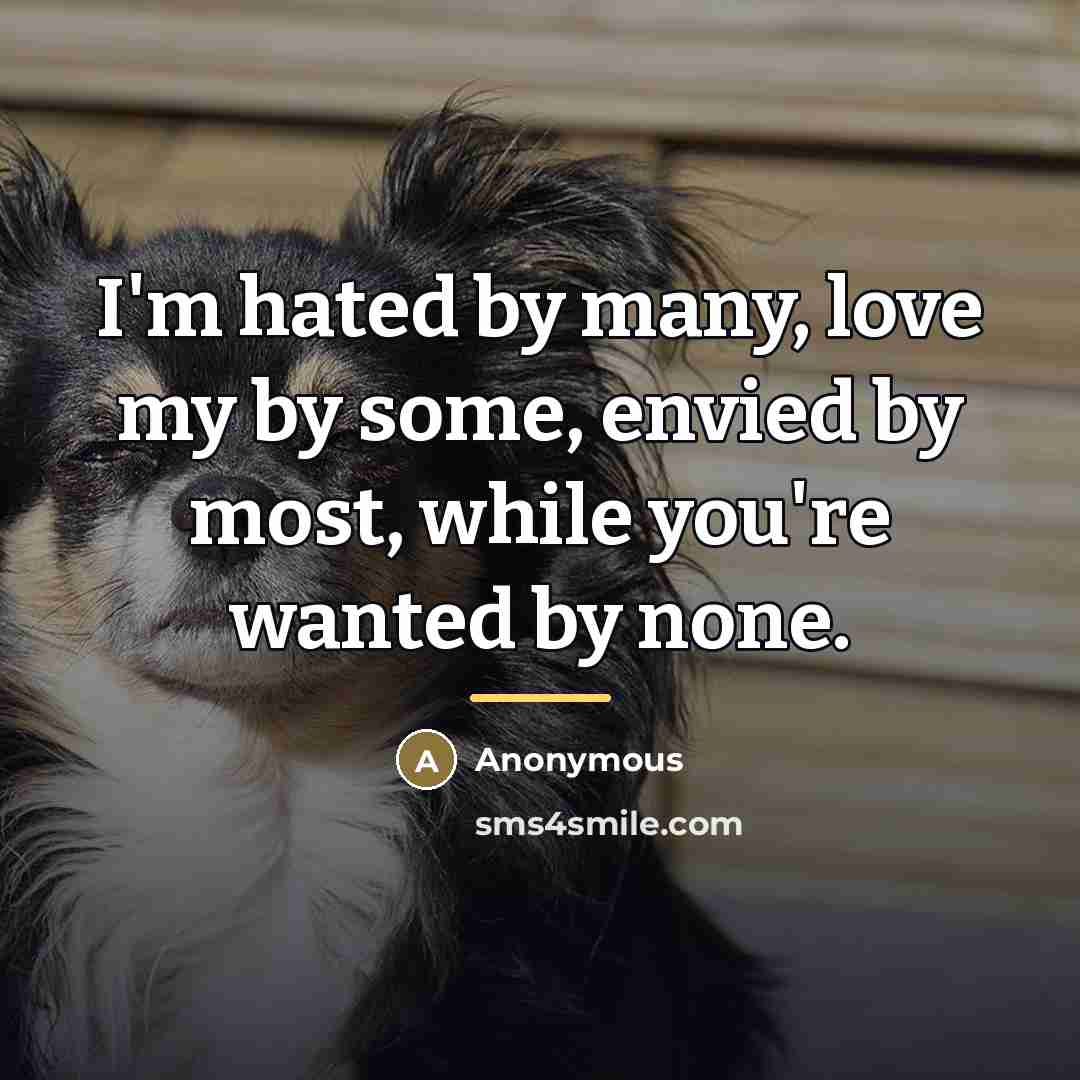 “I'm hated by many, love my by some, envied by…” quote by Anonymous