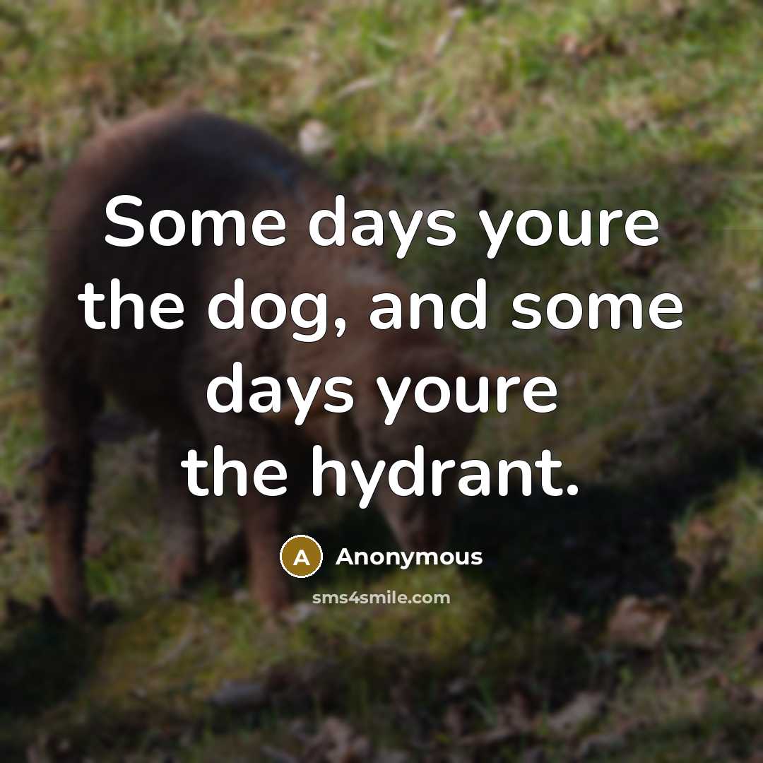 “Some days youre the dog, and some days youre the…” quote by Anonymous