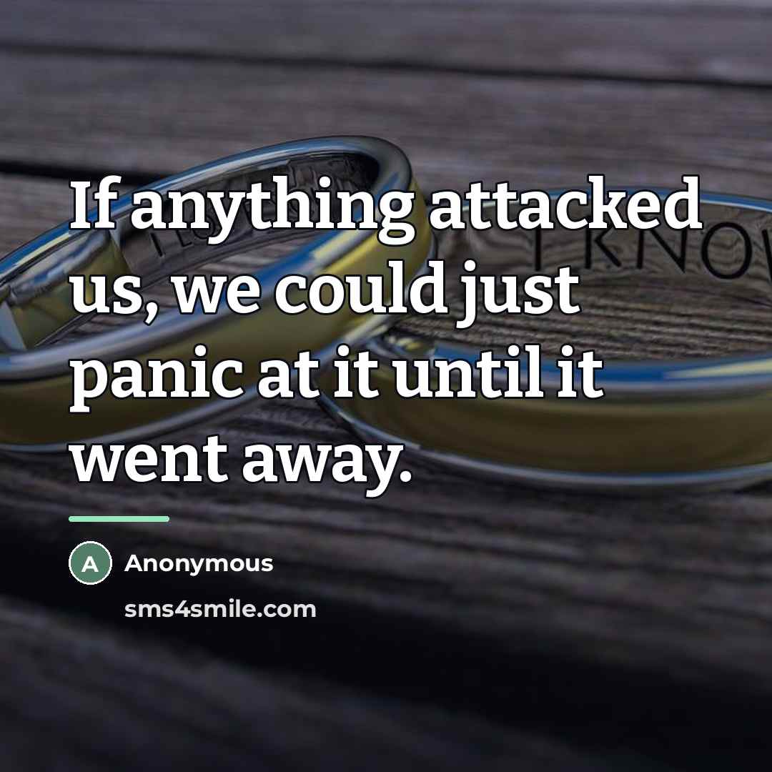 “If anything attacked us, we could just panic at it…” quote by Anonymous