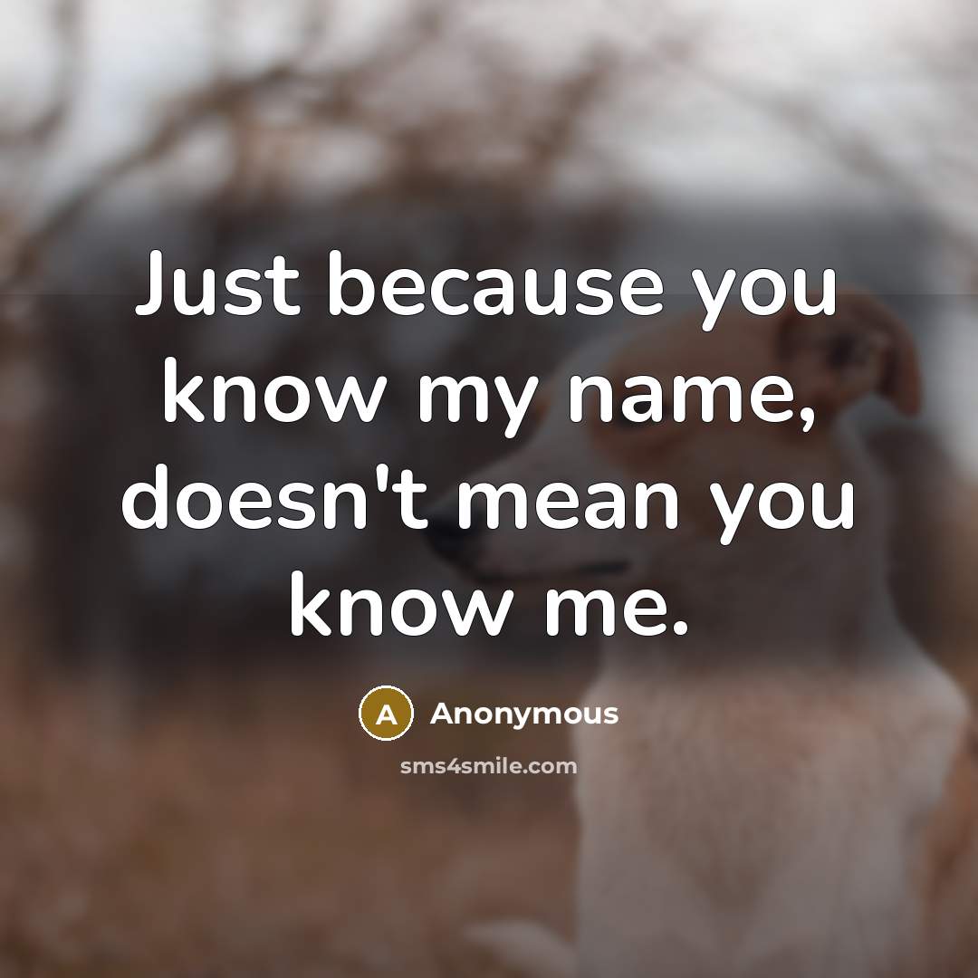 “Just because you know my name, doesn't mean you know me.” quote by Anonymous