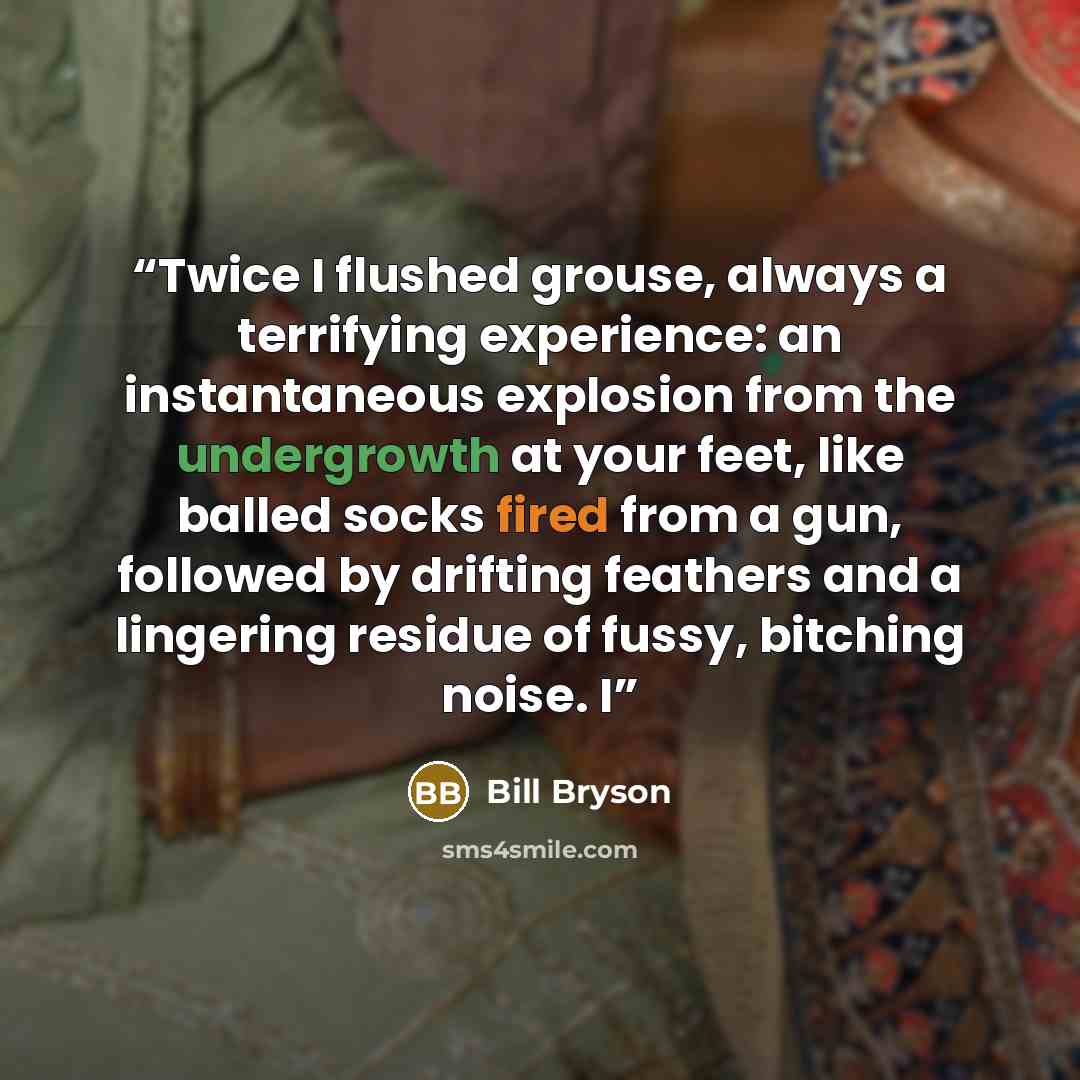 “Twice I flushed grouse, always a terrifying experience: an instantaneous explosion from the undergrowth at your feet, like balled socks fired from a gun, followed by drifting feathers and a lingering residue of fussy, bitching noise. I” quote by Bill Bryson