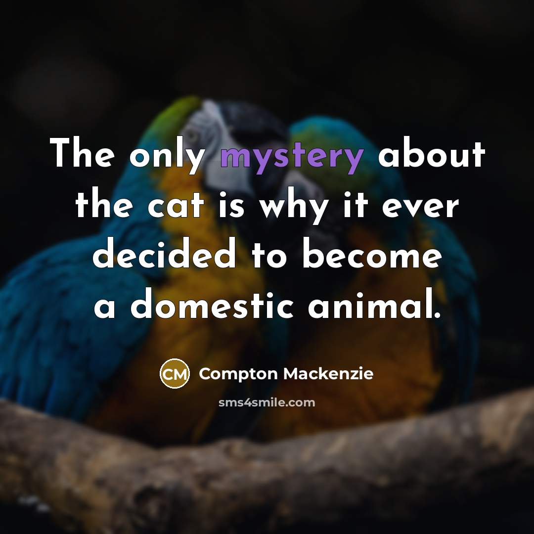 “The only mystery about the cat is why it ever…” quote by Compton Mackenzie