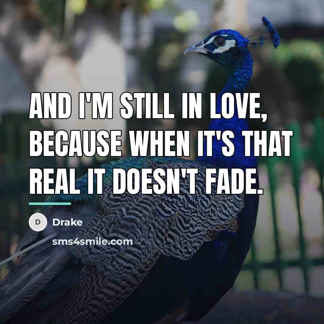 “And I'm still in love, because when it's that real…” quote by Drake