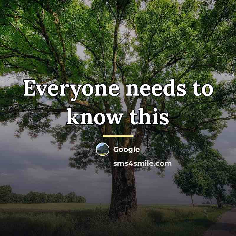 “Everyone needs to know this…” quote by Google