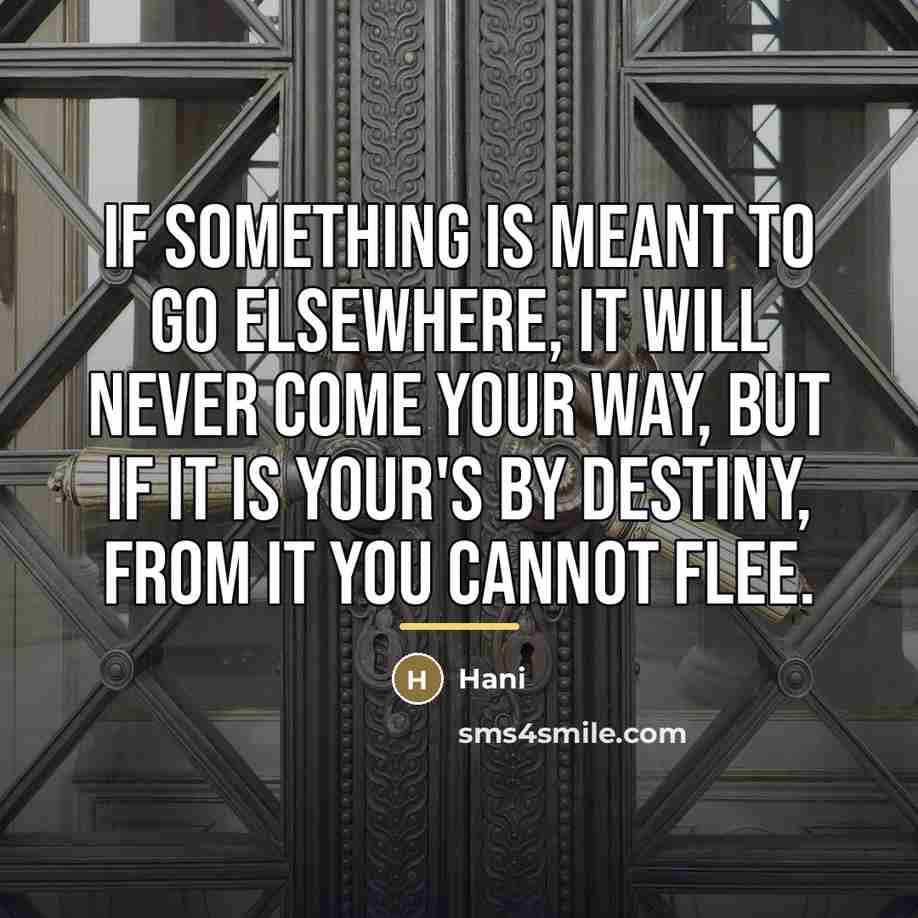 “If something is meant to go elsewhere, it will never…” quote by Hani