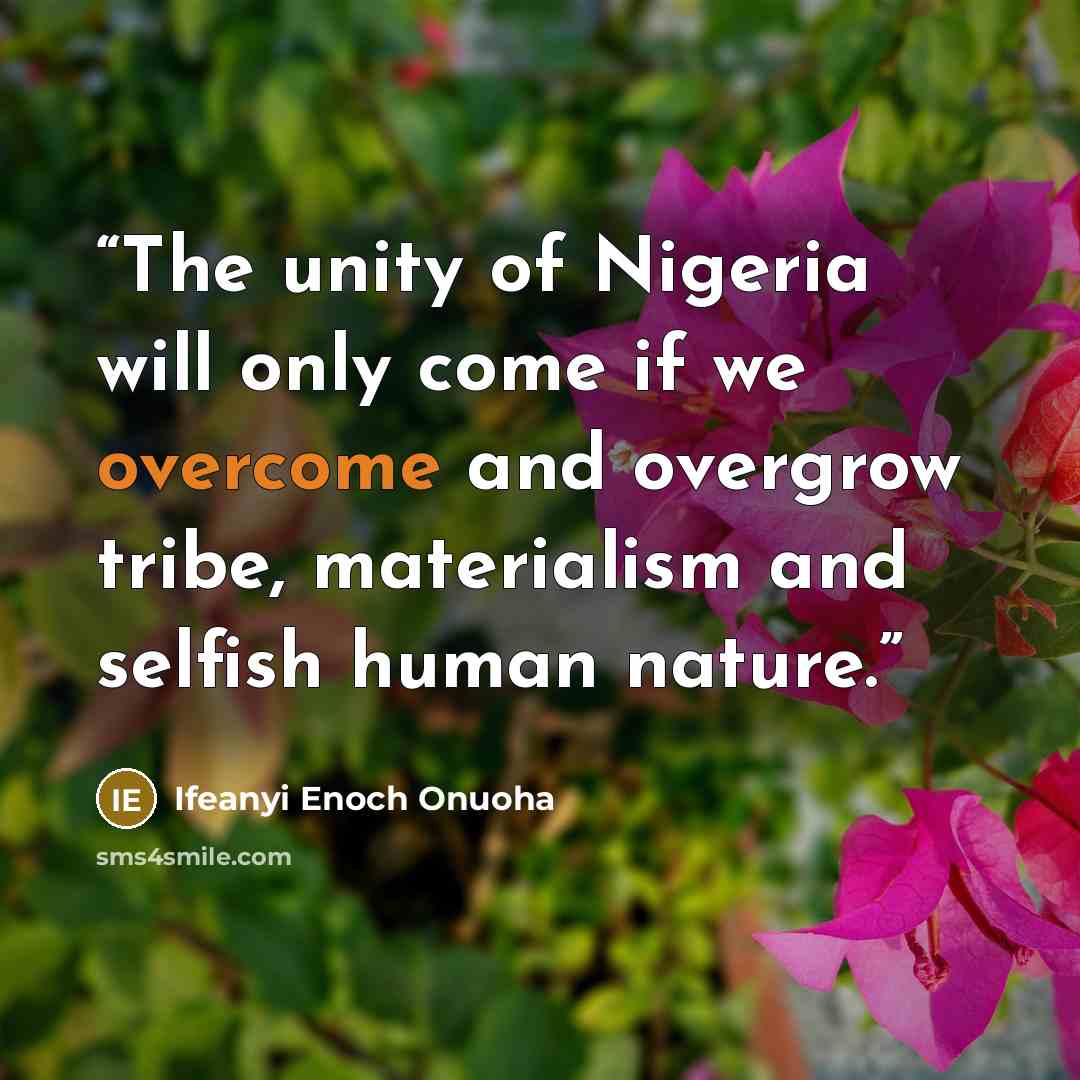 “The unity of Nigeria will only come if we overcome and overgrow tribe, materialism and selfish human nature.” quote by Ifeanyi Enoch Onuoha