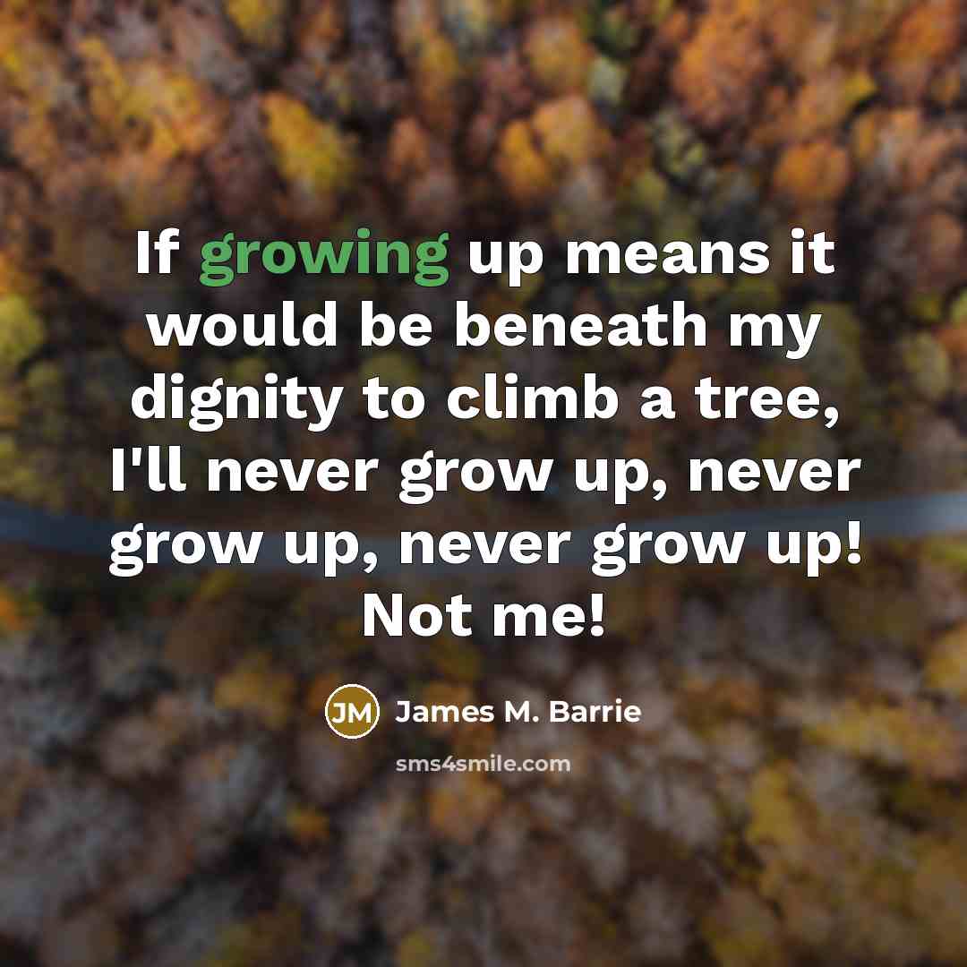 “If growing up means it would be beneath my dignity…” quote by James M. Barrie