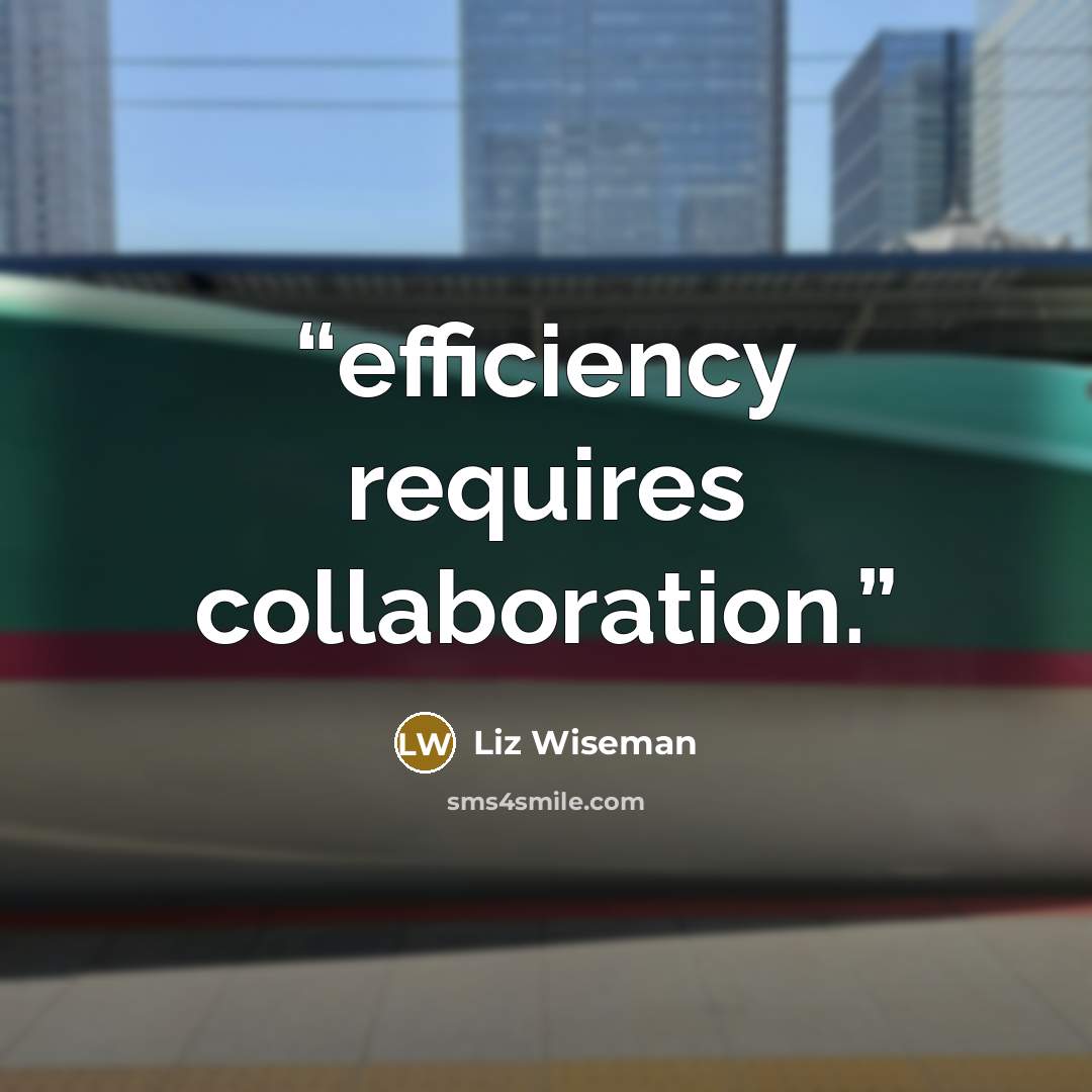 “efficiency requires collaboration.” quote by Liz Wiseman