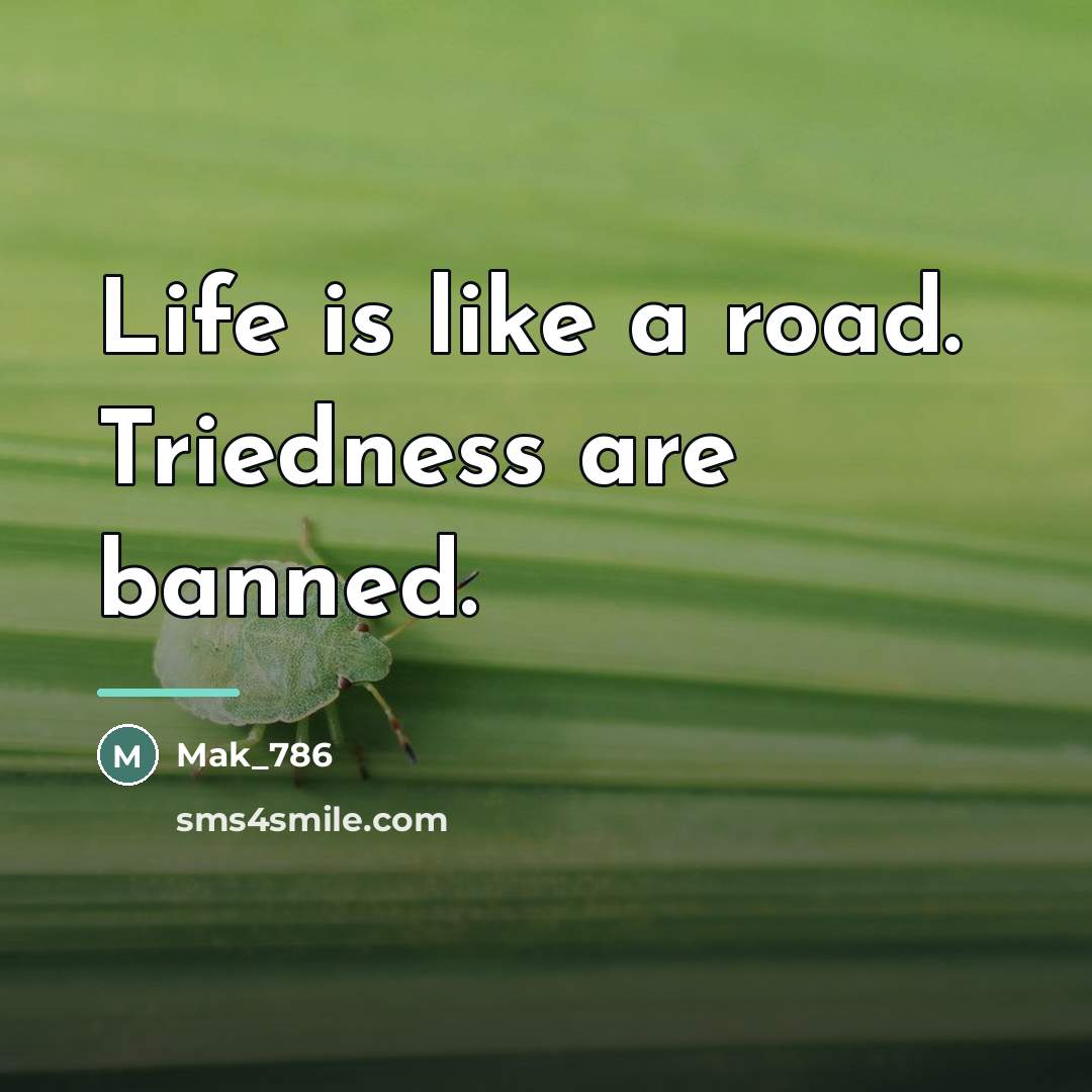 “Life is like a road. Triedness are banned.…” quote by Mak_786