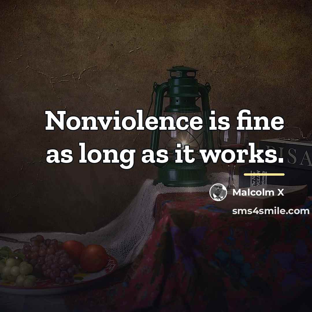“Nonviolence is fine as long as it works.…” quote by Malcolm X