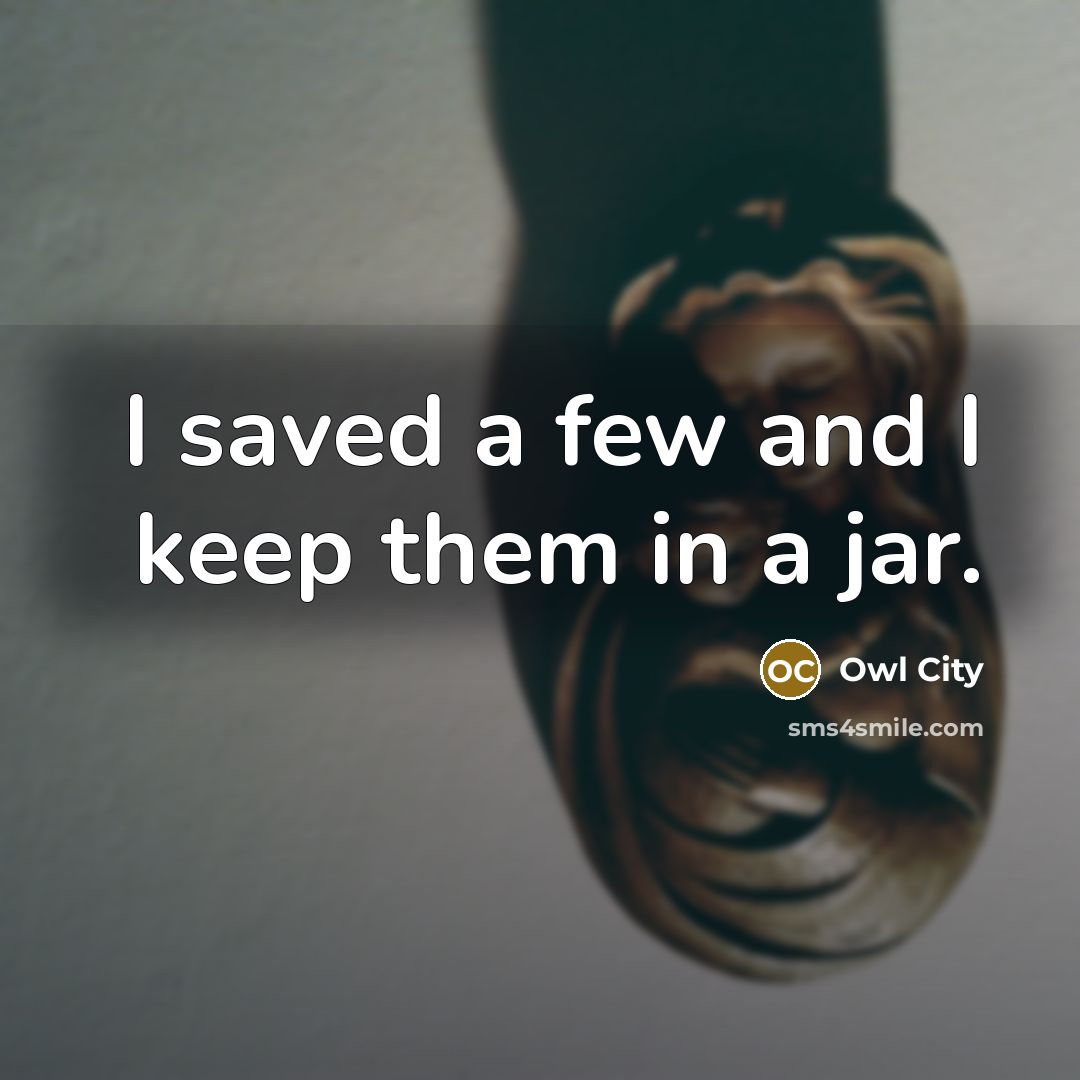 “I saved a few and I keep them in a…” quote by Owl City