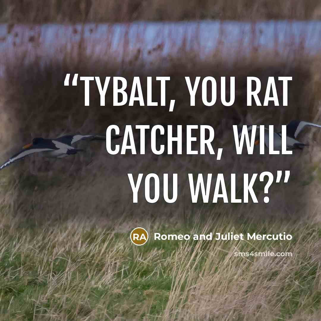 “Tybalt, You Rat Catcher, Will you walk?” quote by Romeo and Juliet Mercutio