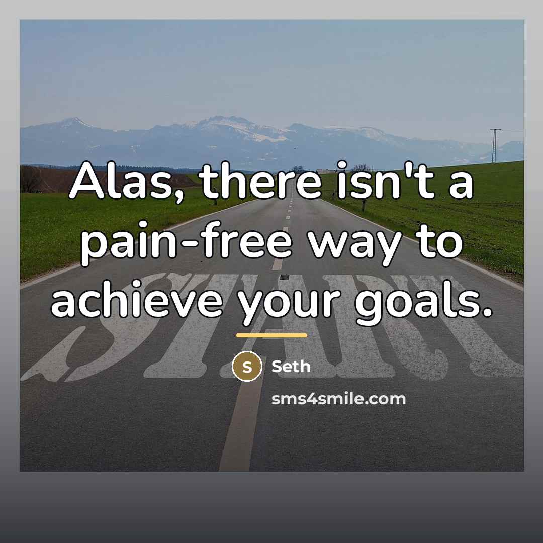 “Alas, there isn't a pain-free way to achieve your goals.…” quote by Seth