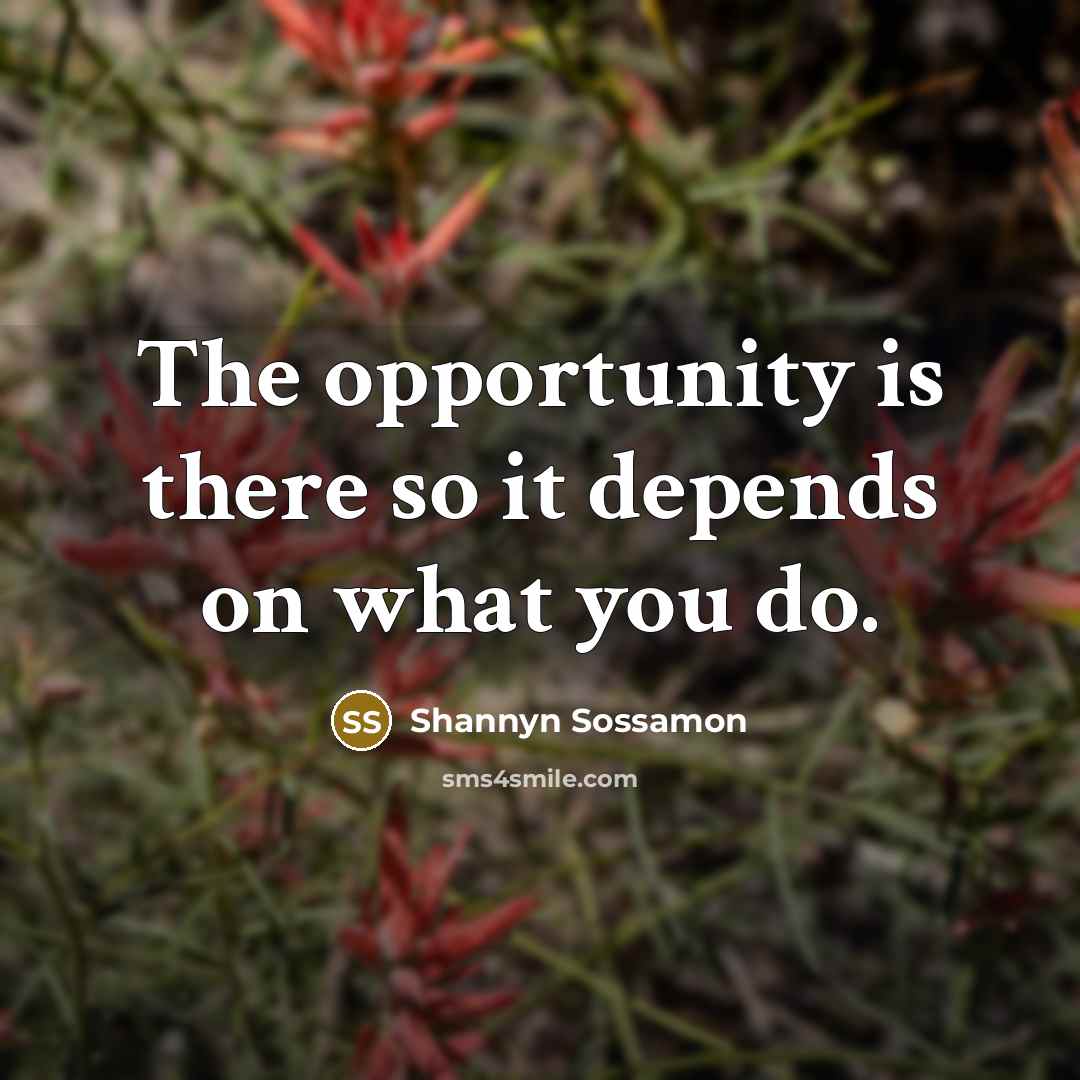 “The opportunity is there so it depends on what you…” quote by Shannyn Sossamon