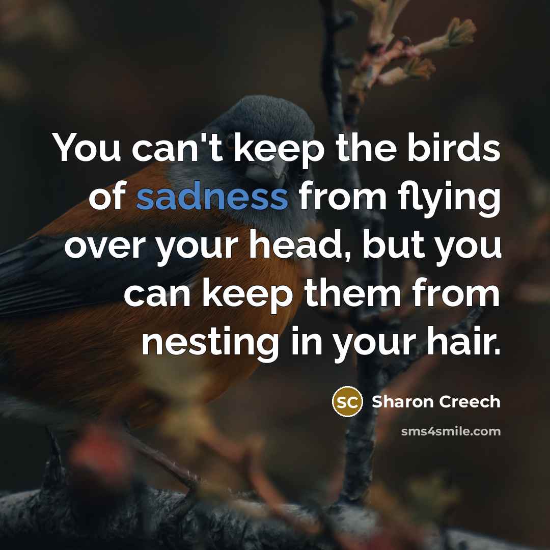 “You can't keep the birds of sadness from flying over…” quote by Sharon Creech