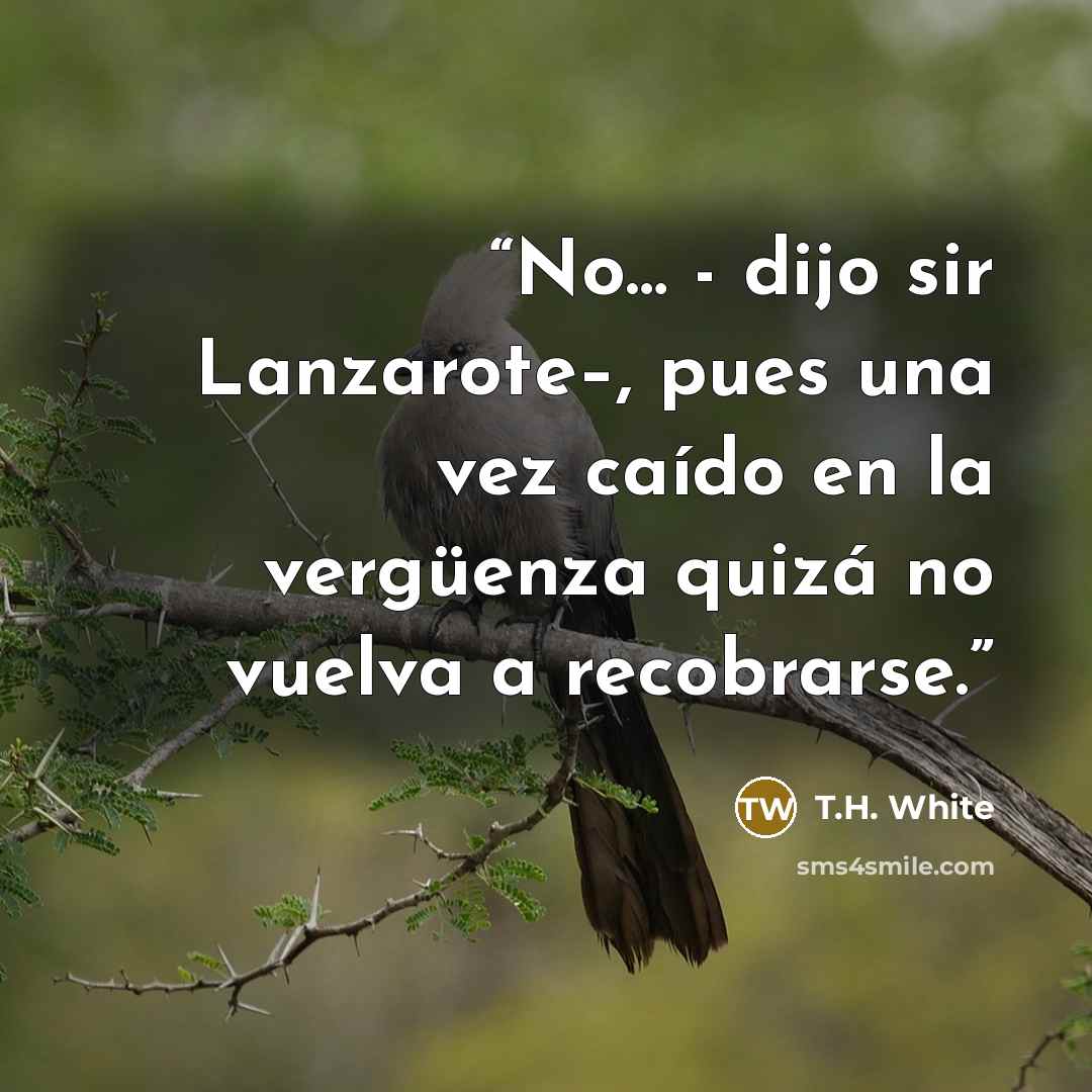 “No… - dijo sir Lanzarote–, pues una vez caído en la vergüenza quizá no vuelva a recobrarse.” quote by T.H. White