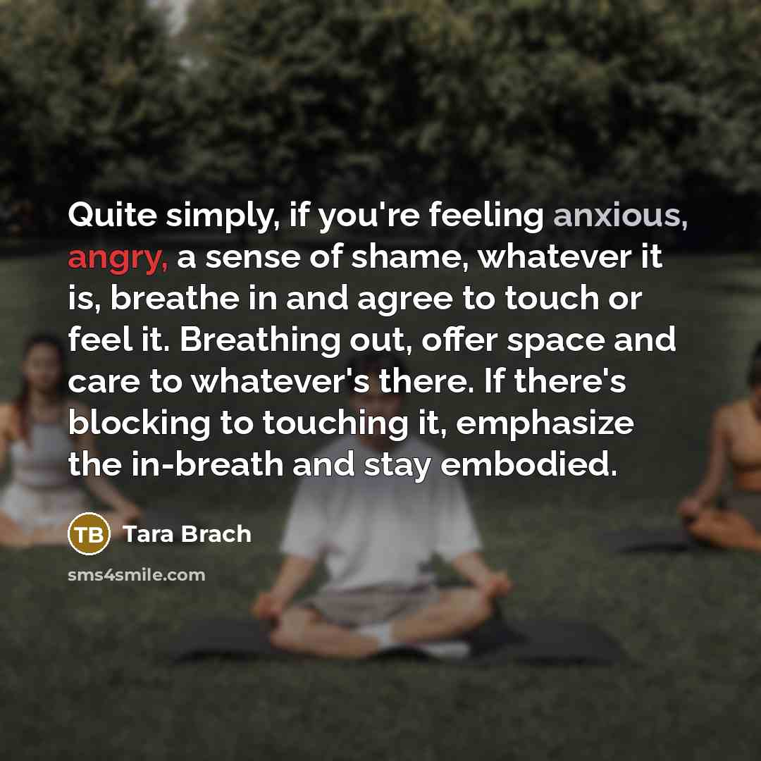 “Quite simply, if you're feeling anxious, angry, a sense of…” quote by Tara Brach
