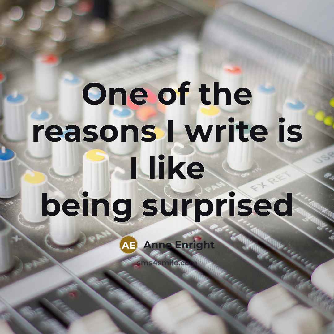 “One of the reasons I write is I like being…” quote by Anne Enright