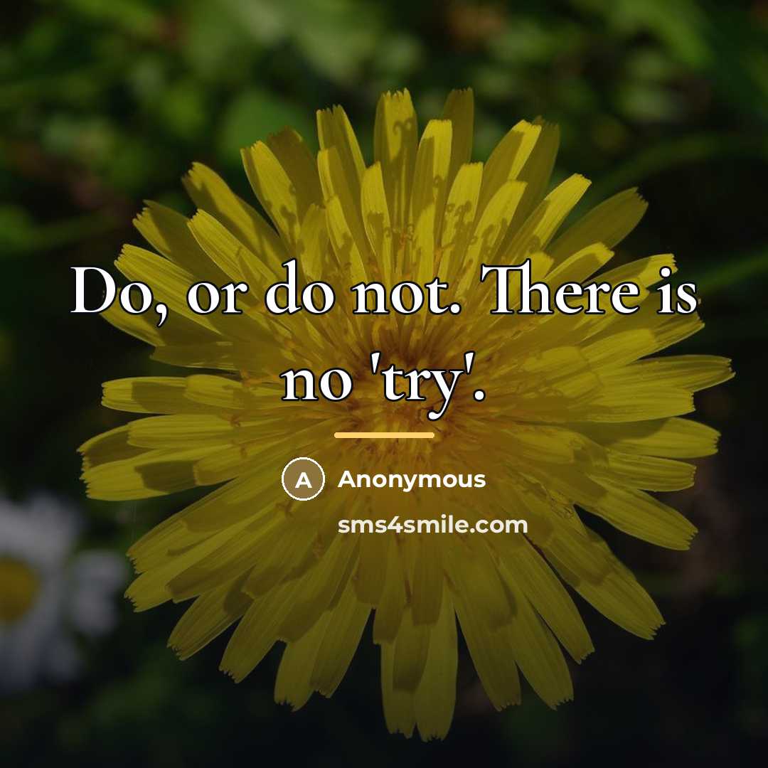“Do, or do not. There is no 'try'.…” quote by Anonymous