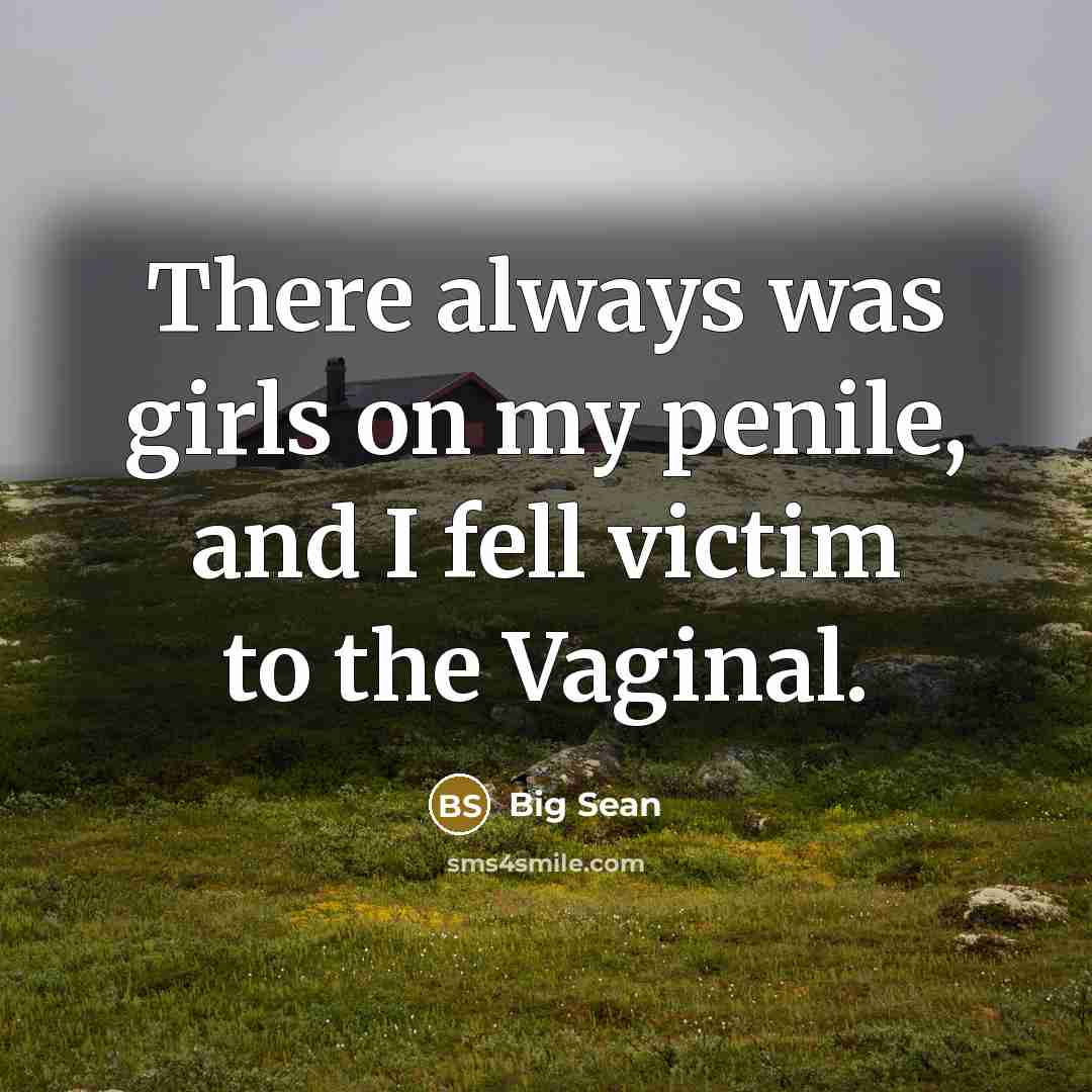 “There always was girls on my penile, and I fell…” quote by Big Sean