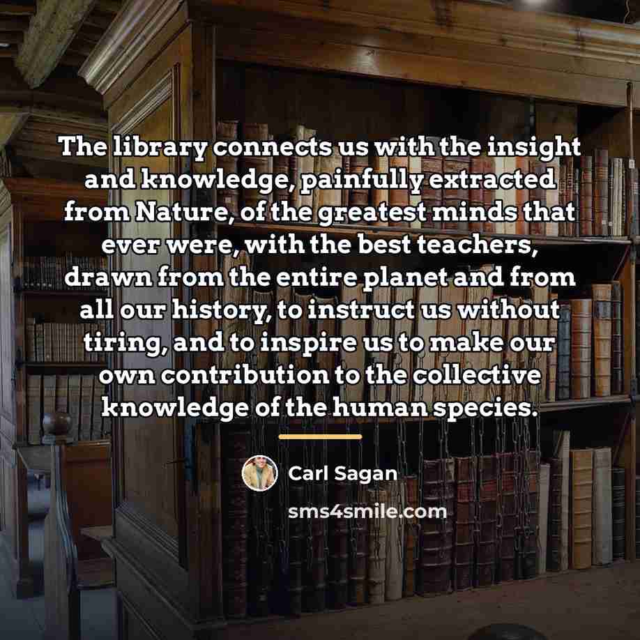 “The library connects us with the insight and knowledge, painfully…” quote by Carl Sagan