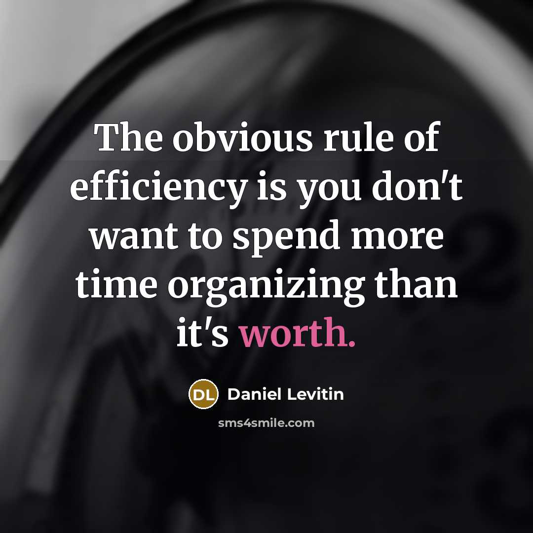 “The obvious rule of efficiency is you don't want to…” quote by Daniel Levitin