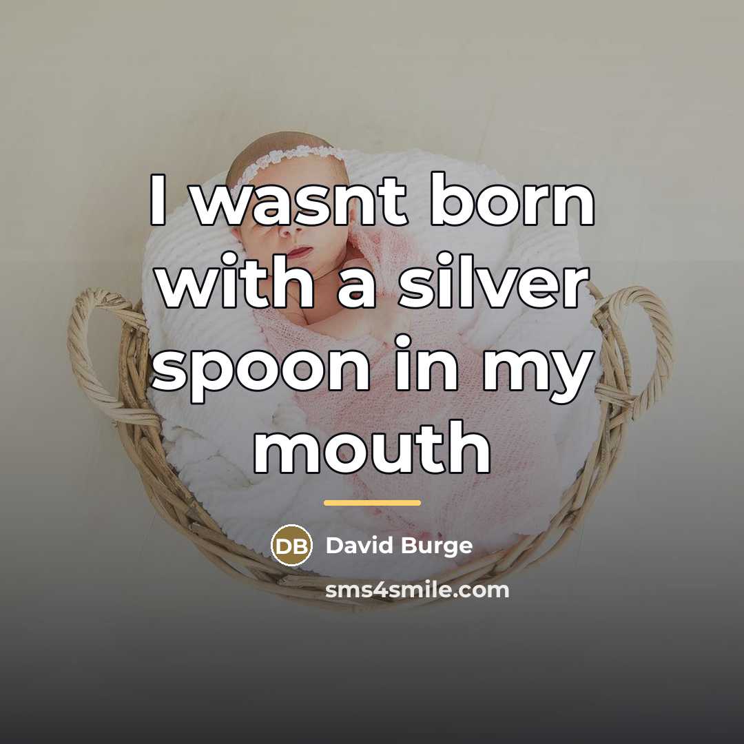 “I wasnt born with a silver spoon in my mouth…” quote by David Burge