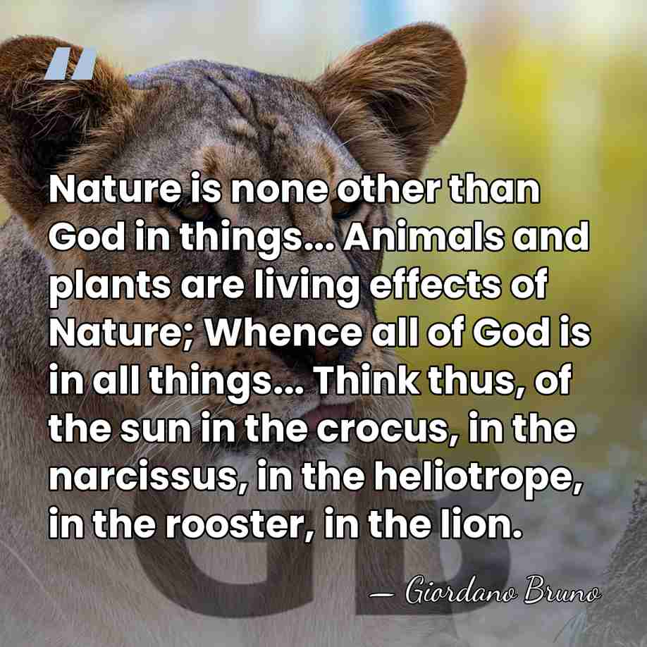 Nature is none other than God in things... Animals and plants are&hellip; - Giordano Bruno