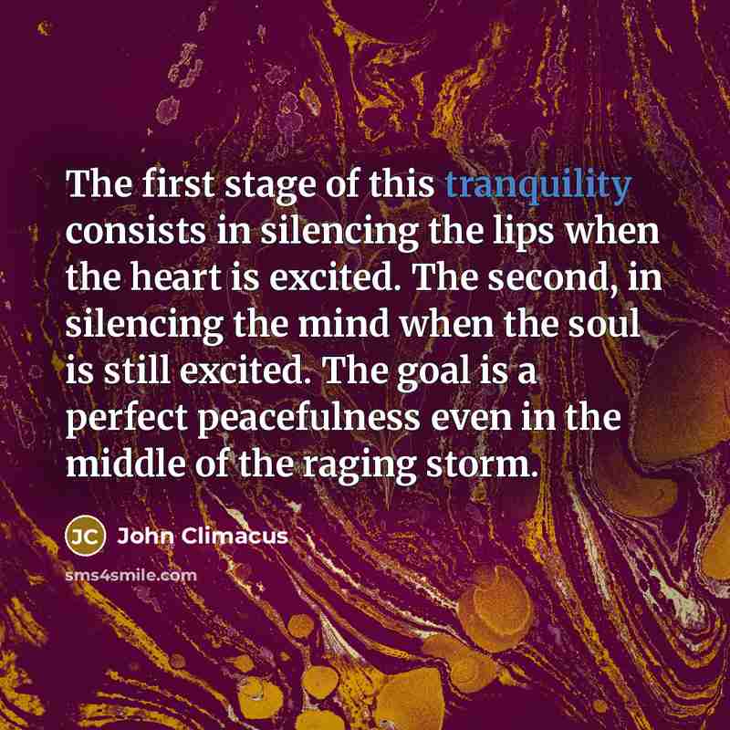 “The first stage of this tranquility consists in silencing the…” quote by John Climacus