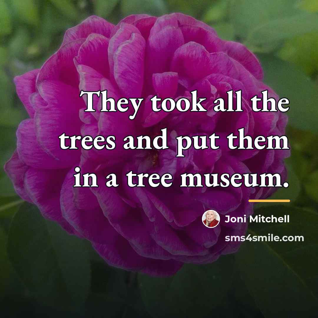 “They took all the trees and put them in a…” quote by Joni Mitchell