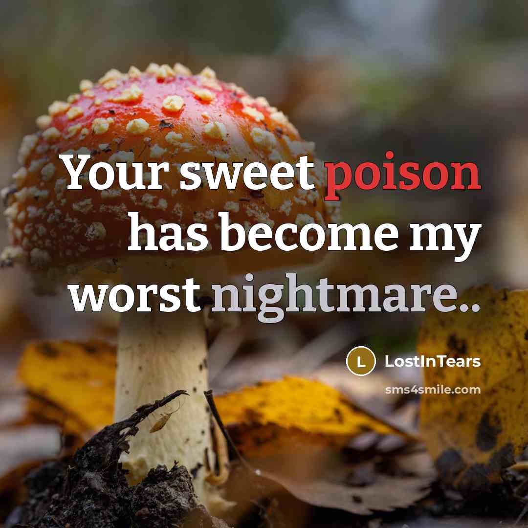 “Your sweet poison has become my worst nightmare..…” quote by LostInTears