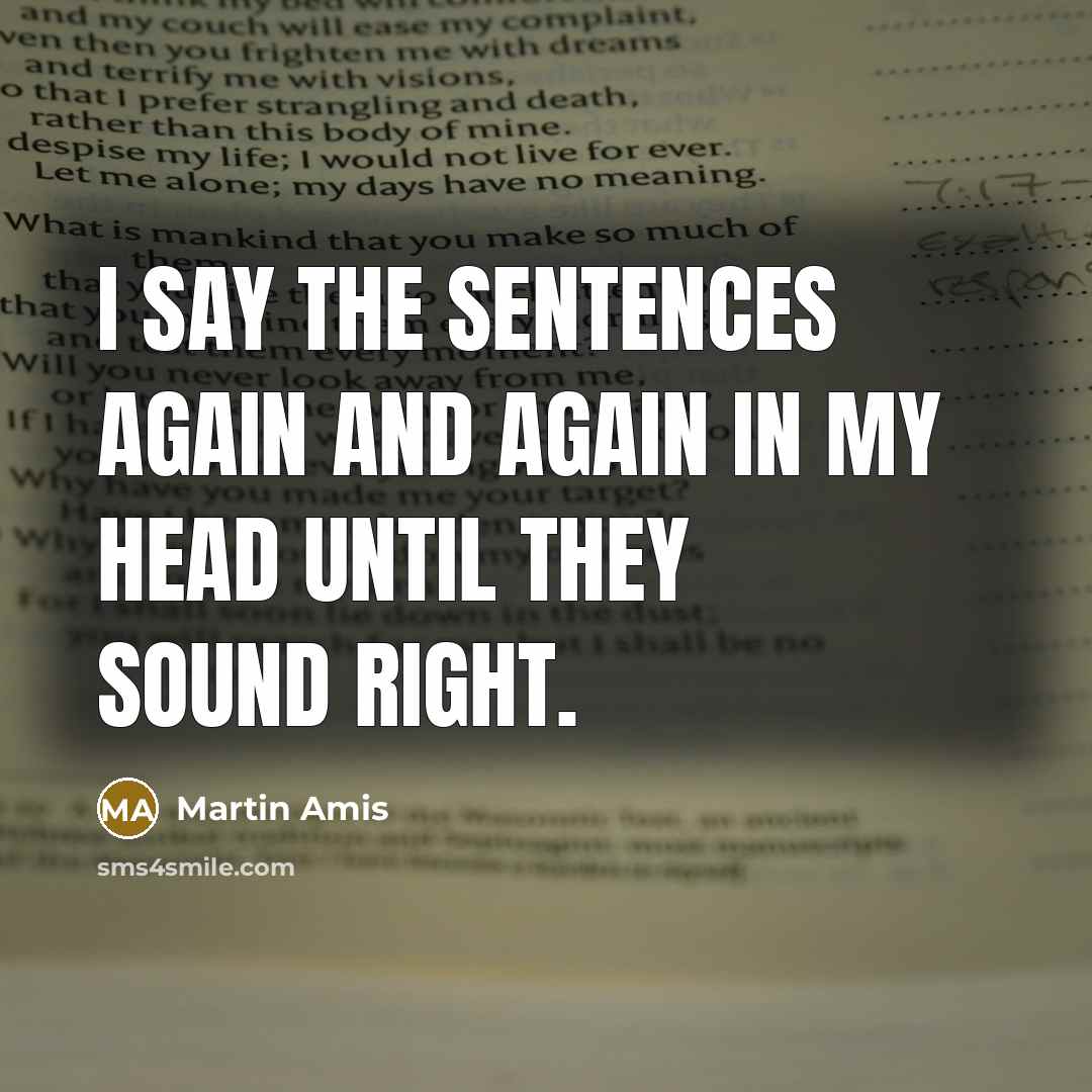 “I say the sentences again and again in my head…” quote by Martin Amis