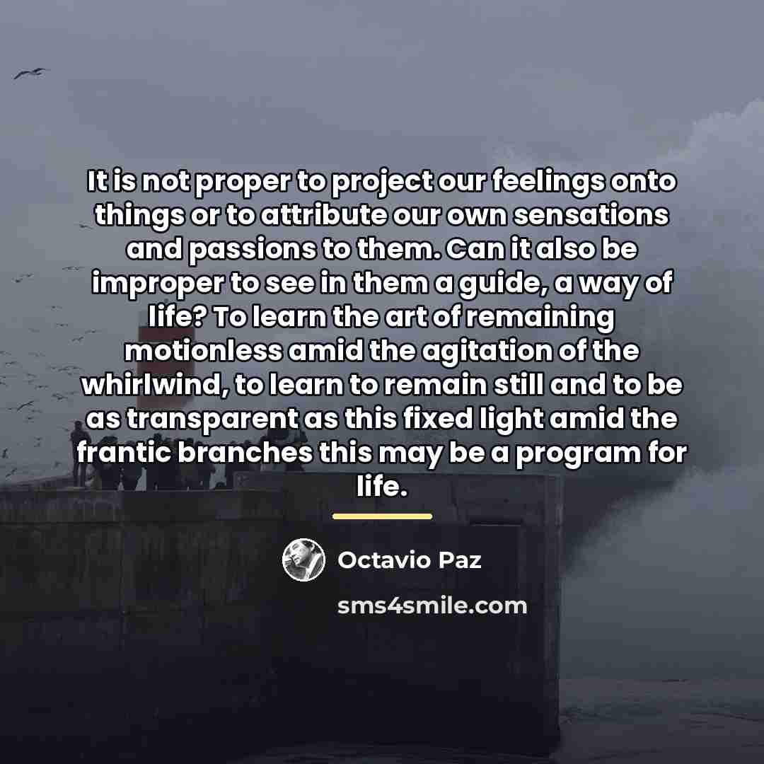 “It is not proper to project our feelings onto things…” quote by Octavio Paz