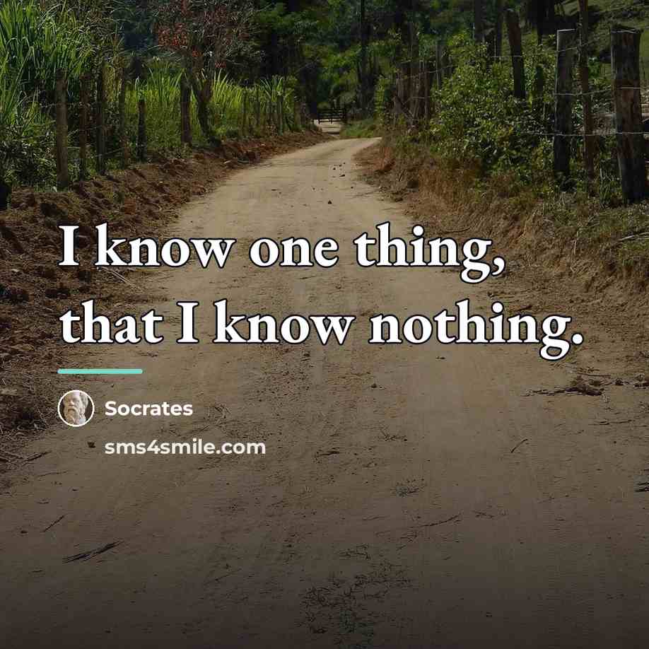 “I know one thing, that I know nothing.…” quote by Socrates