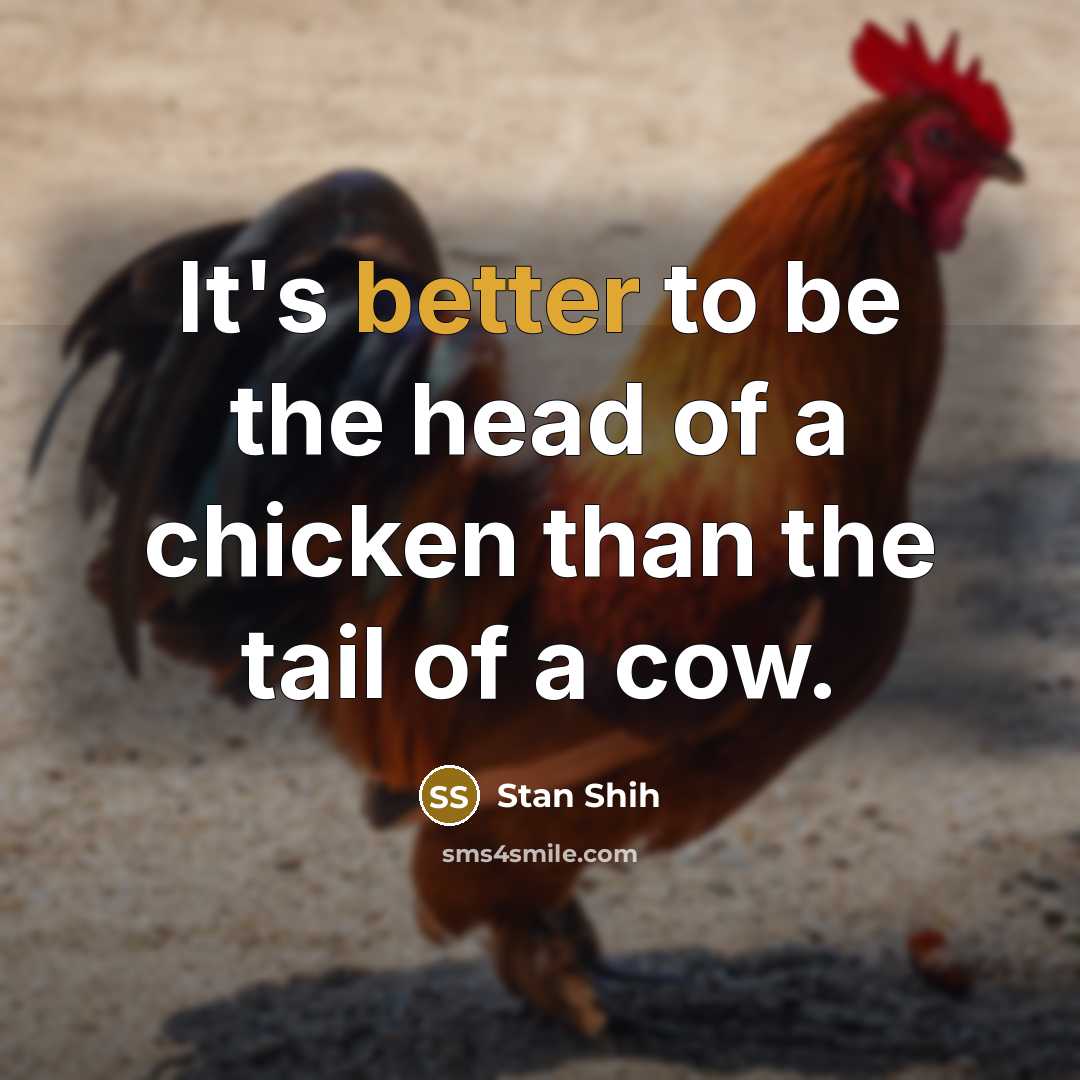“It's better to be the head of a chicken than the tail of a cow.” quote by Stan Shih