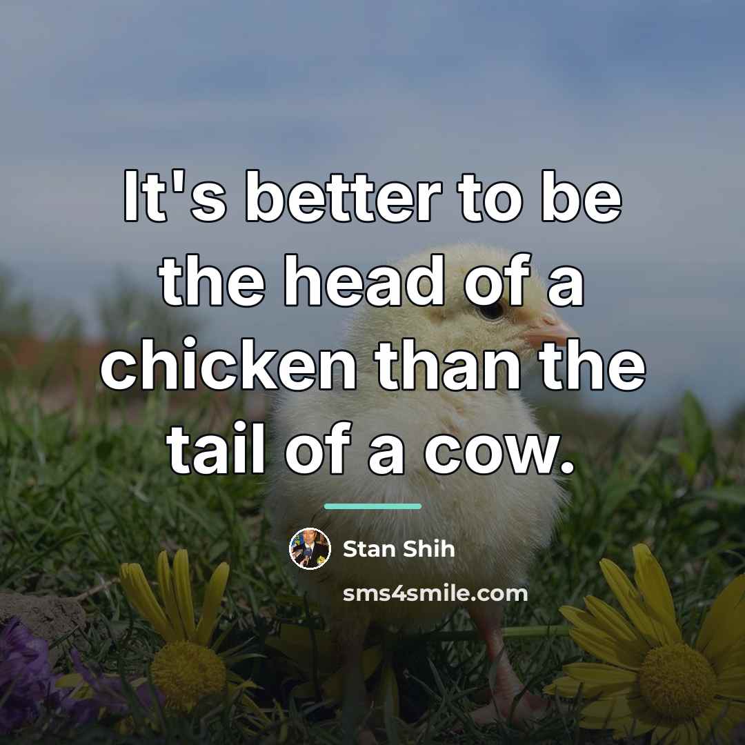 “It's better to be the head of a chicken than…” quote by Stan Shih