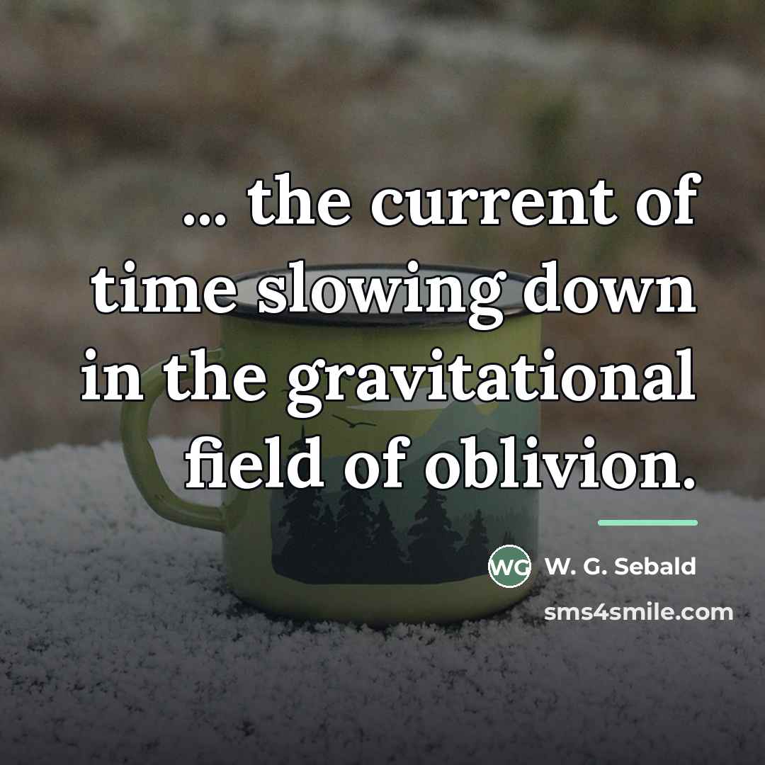 “... the current of time slowing down in the gravitational…” quote by W. G. Sebald