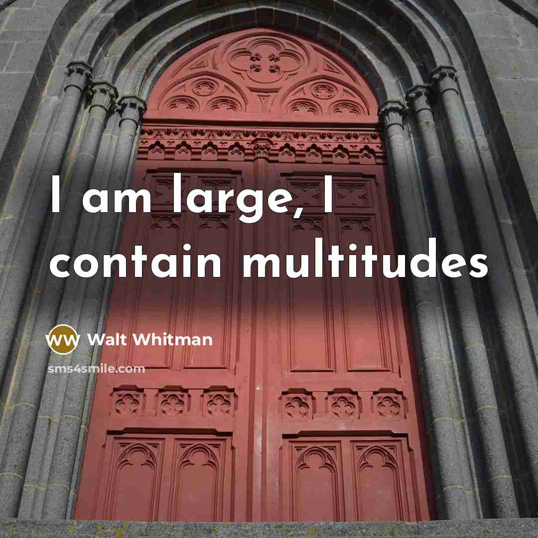 “I am large, I contain multitudes” quote by Walt Whitman
