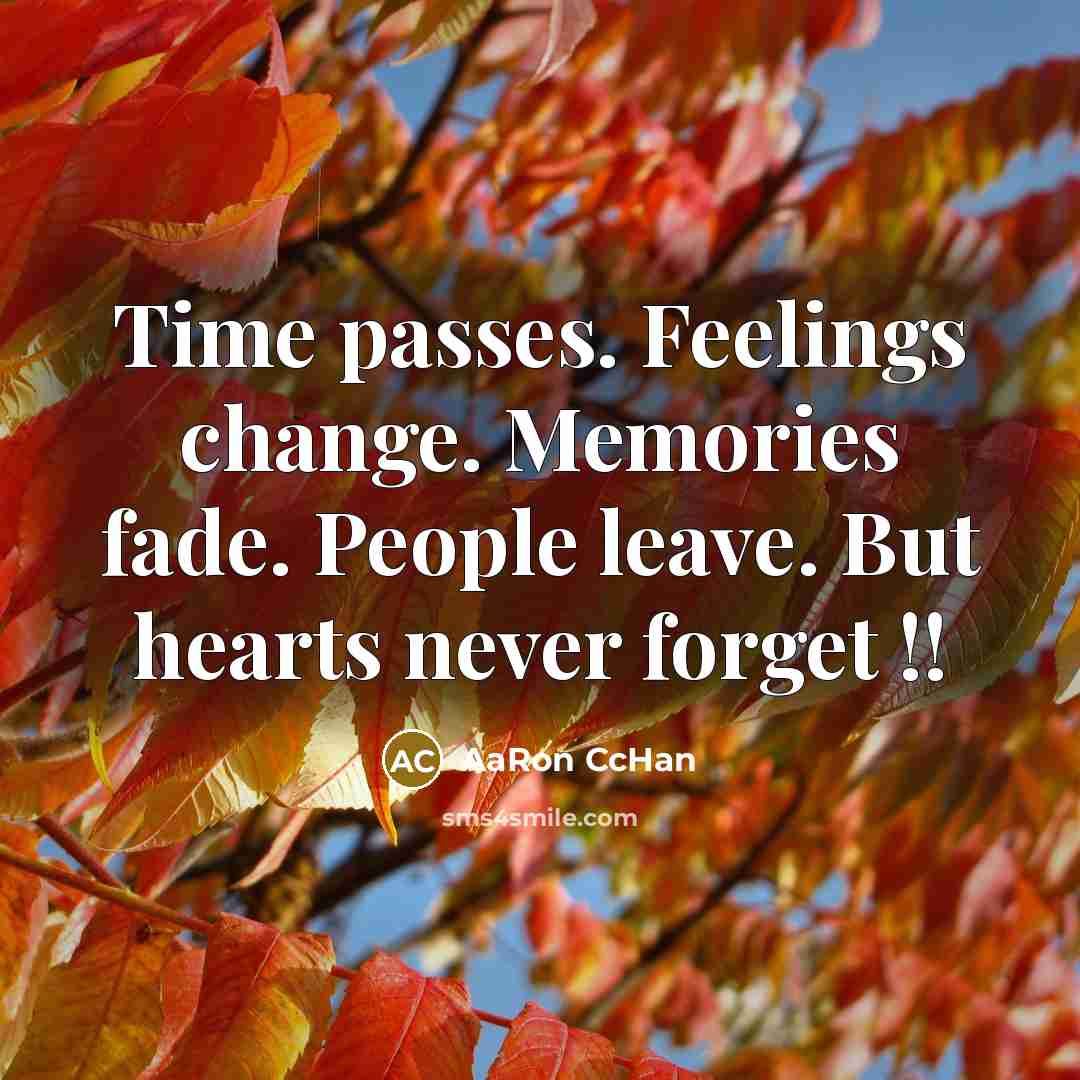 “Time passes. Feelings change. Memories fade. People leave. But hearts…” quote by AaRon CcHan