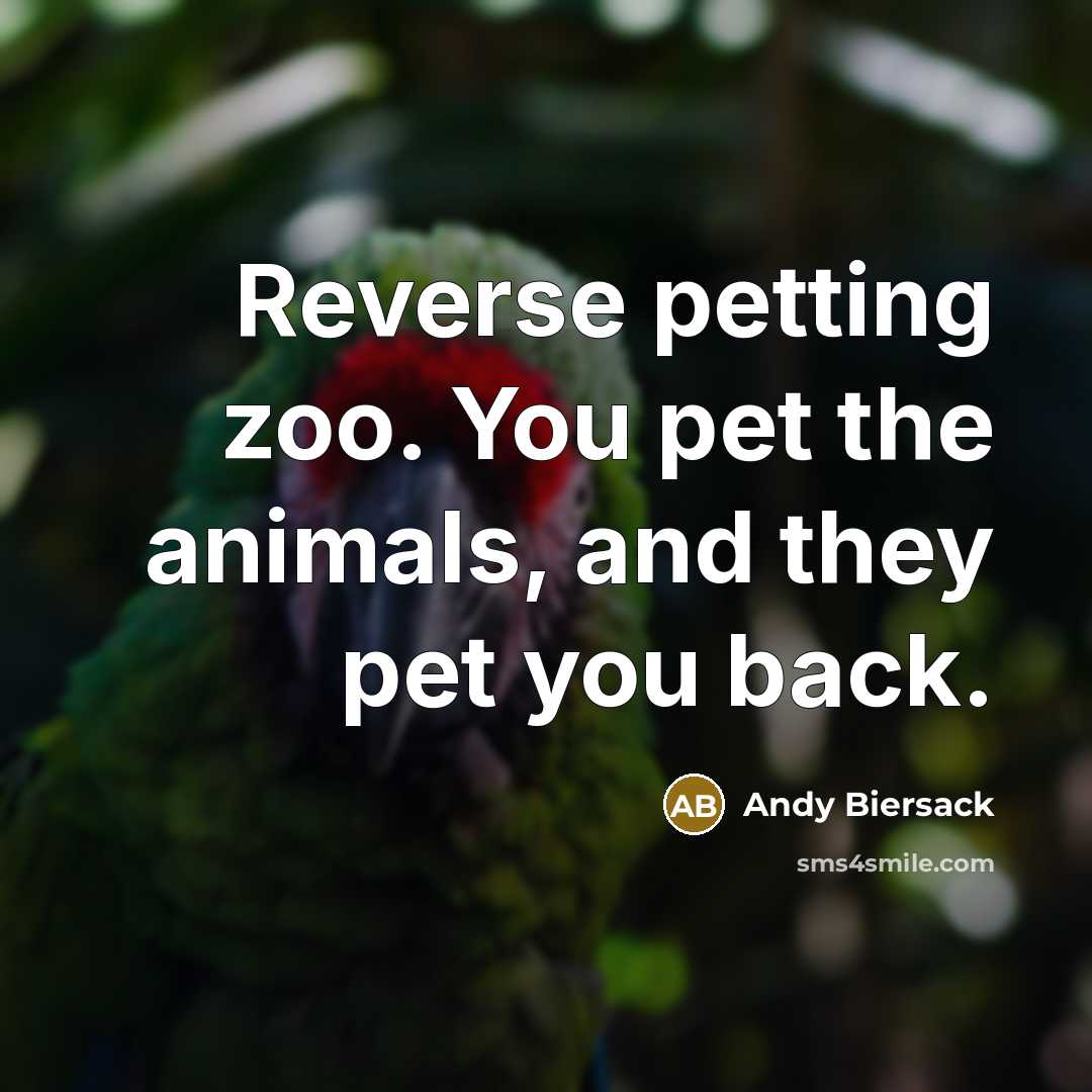 “Reverse petting zoo. You pet the animals, and they pet…” quote by Andy Biersack