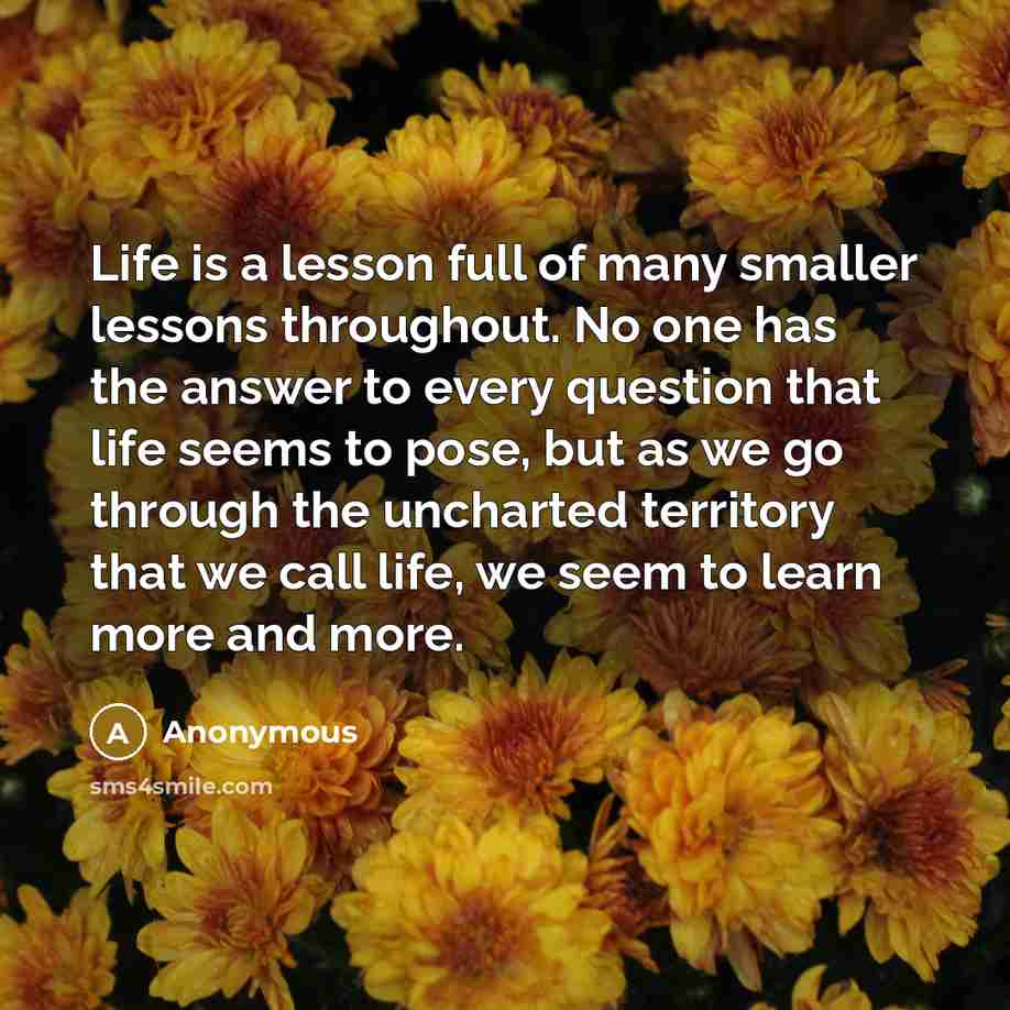 “Life is a lesson full of many smaller lessons throughout.…” quote by Anonymous