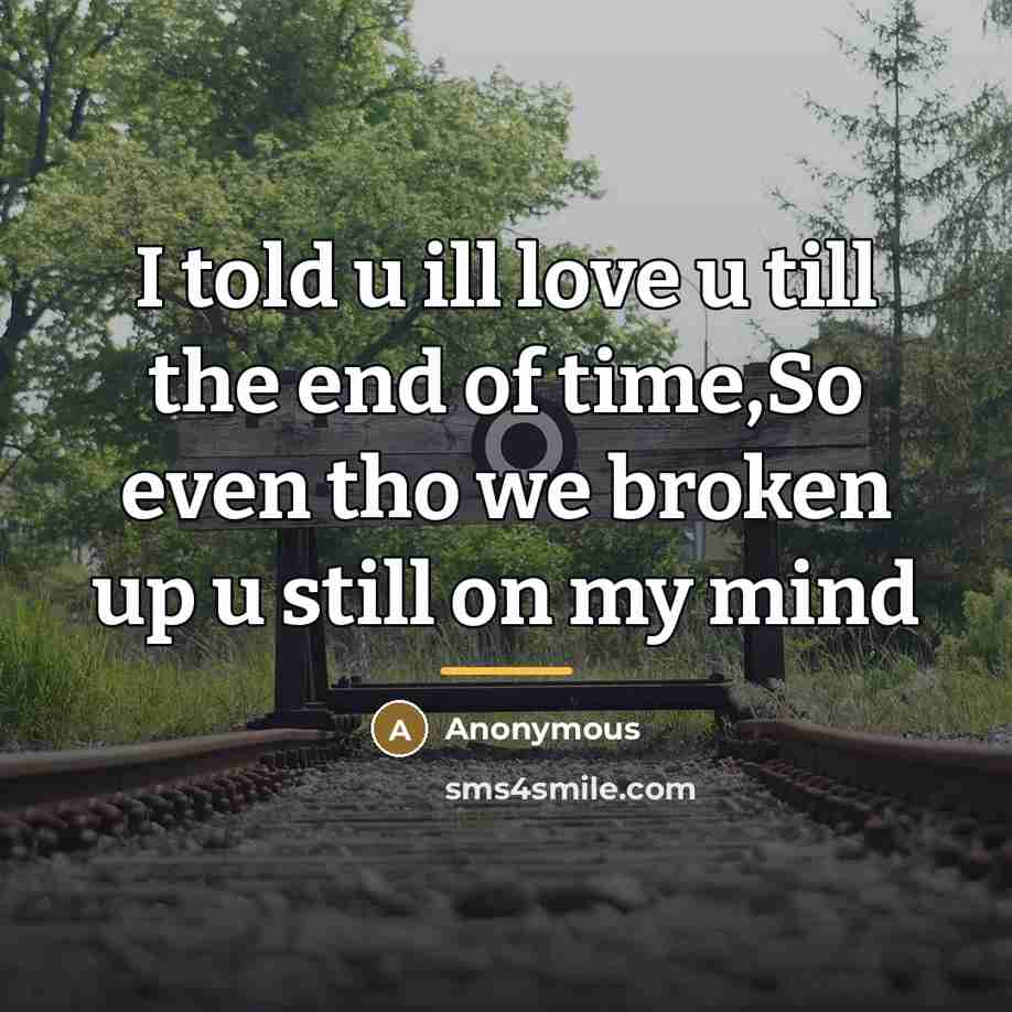 “I told u ill love u till the end of…” quote by Anonymous