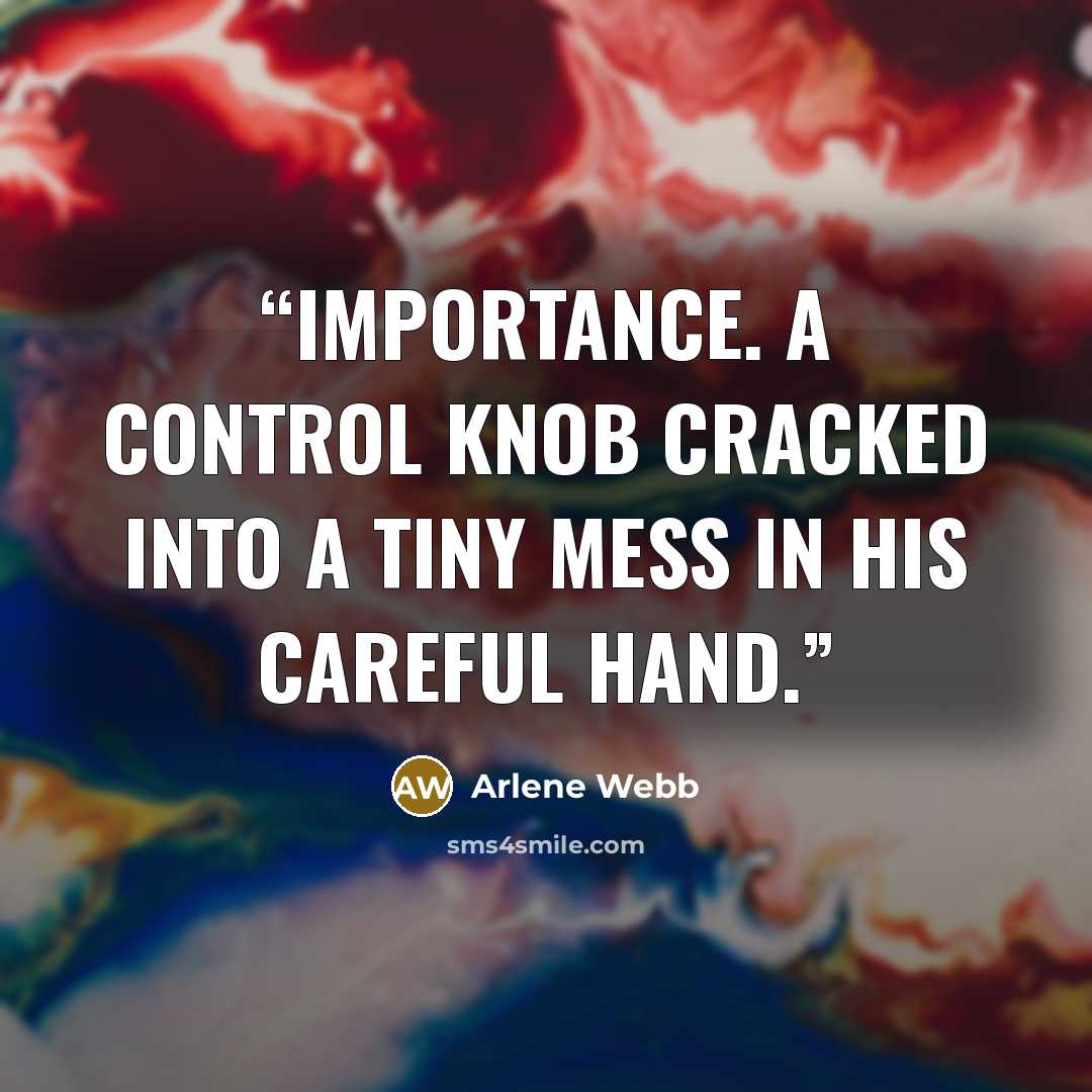 “importance. A control knob cracked into a tiny mess in his careful hand.” quote by Arlene Webb