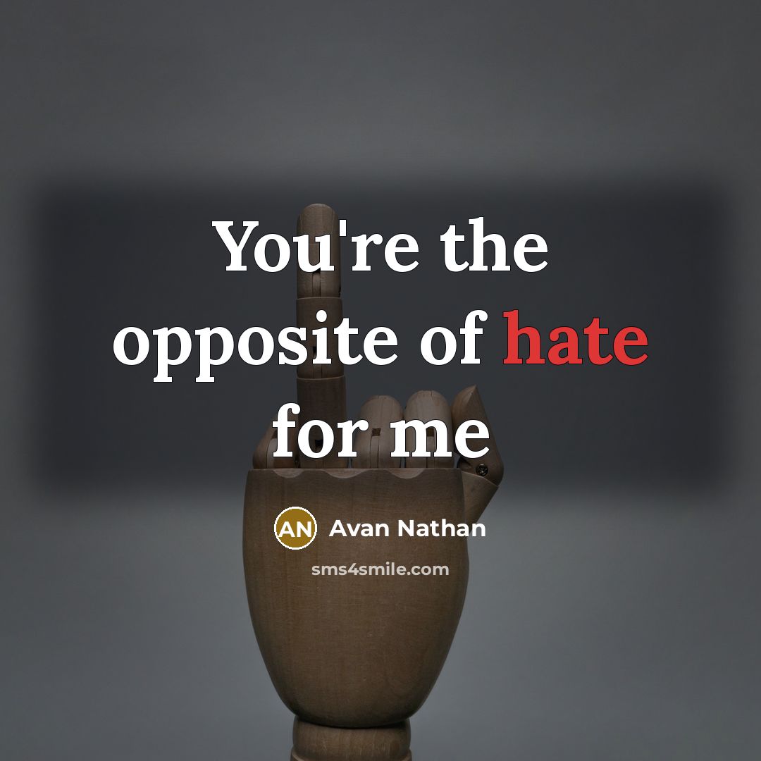 “You're the opposite of hate for me…” quote by Avan Nathan